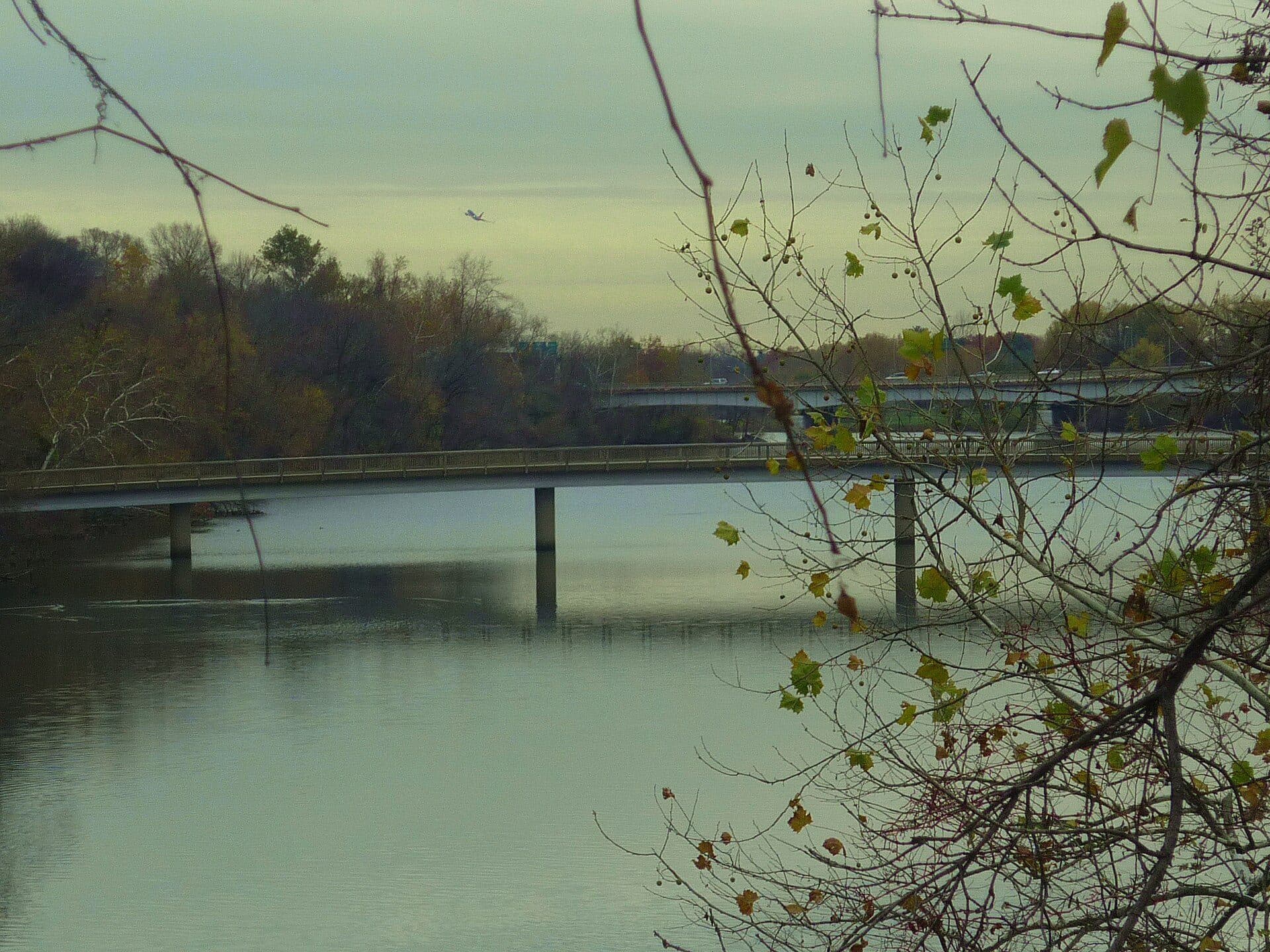 Ponte de pedestres na Theodore Roosevelt Island