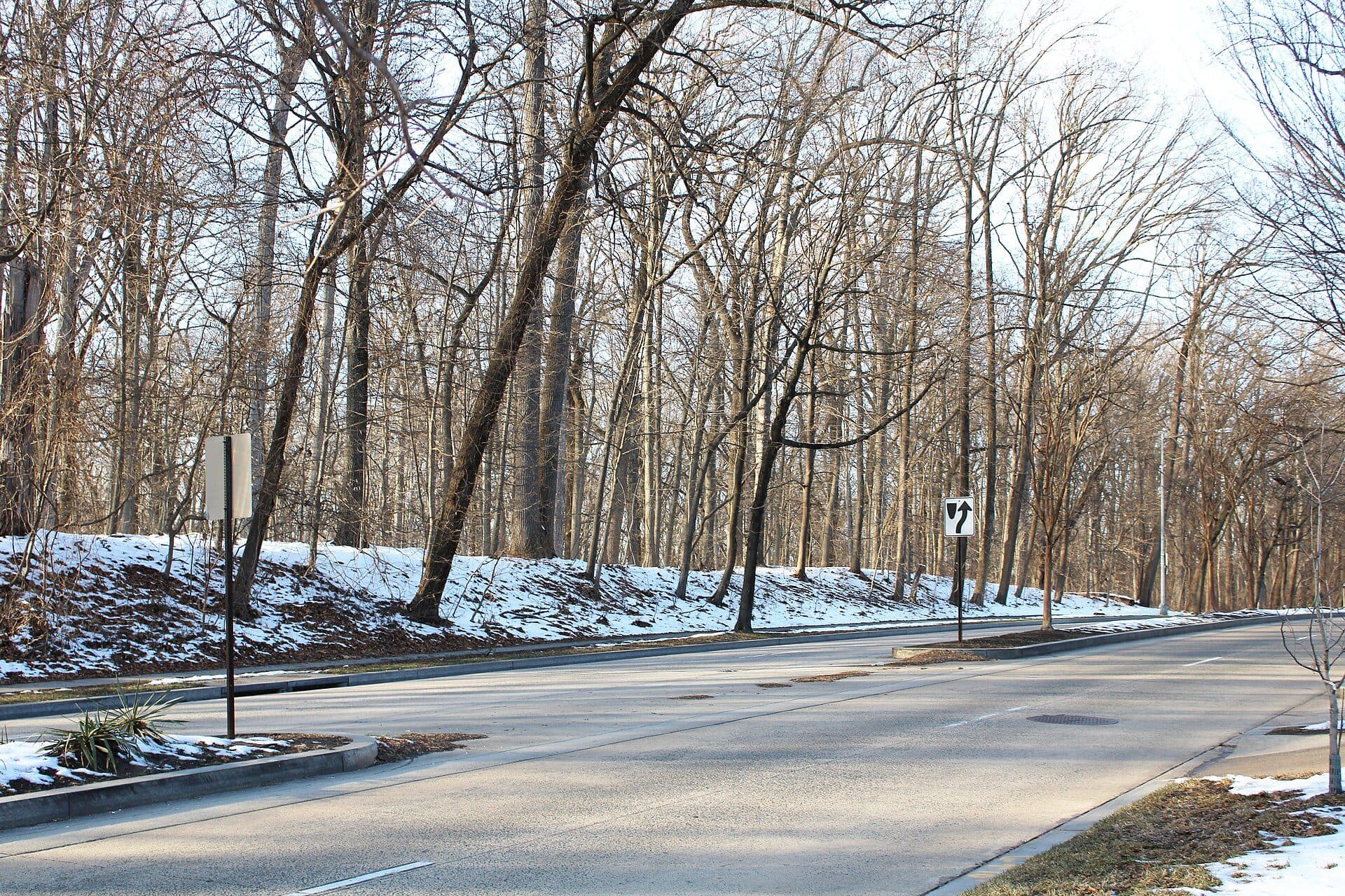 Paisagem do Rock Creek Park durante o inverno de 2021