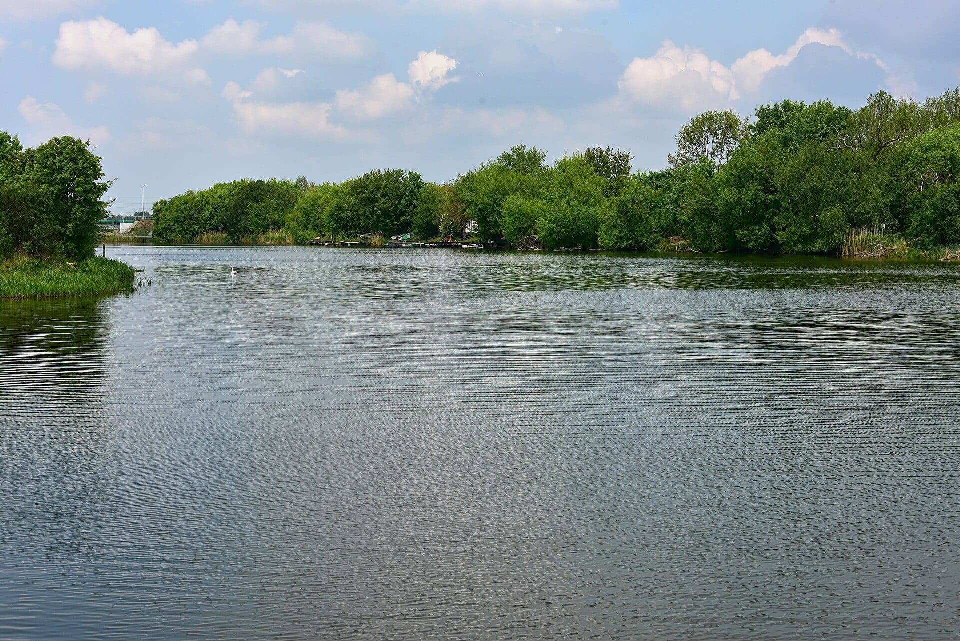 Vista das águas e vegetação no entorno do Lago Czerniakowskie