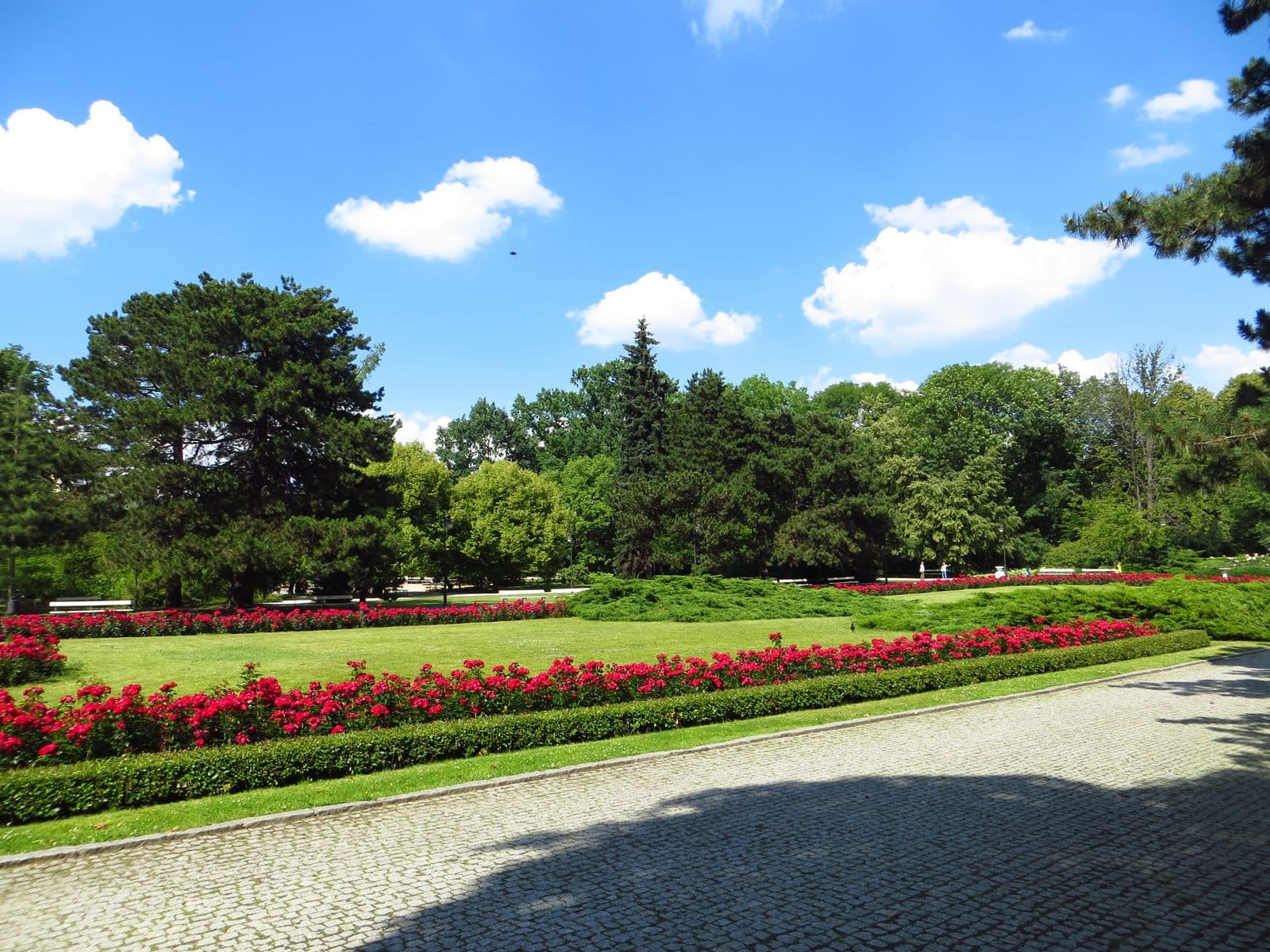 Vista panorâmica da área arborizada do Park Ujazdowski