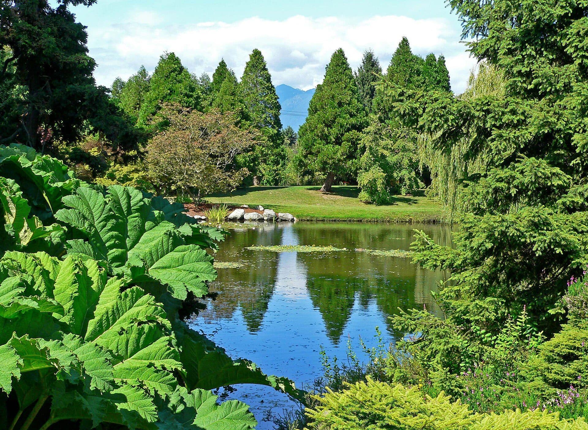 Vista da vegetação e paisagismo no VanDusen Botanical Garden