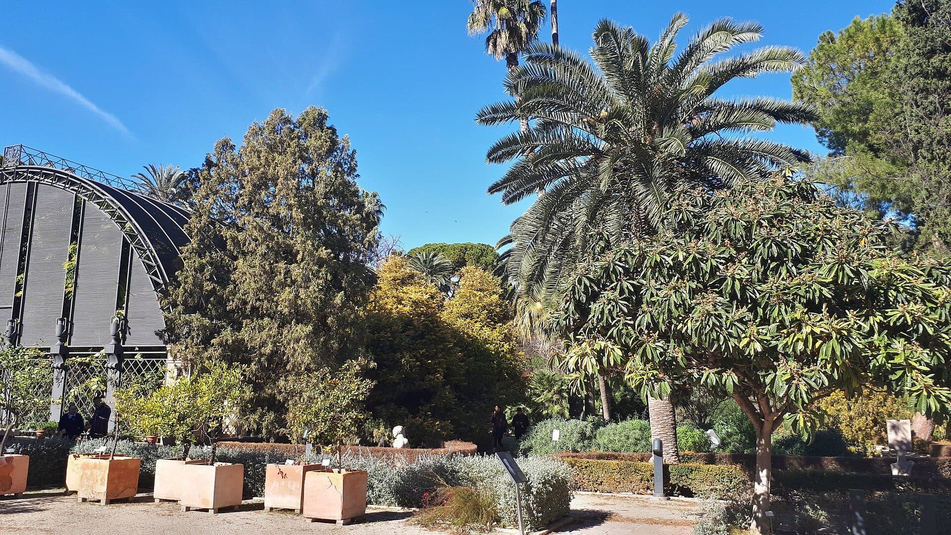 Vista de plantas e árvores no Jardim Botânico de Valencia