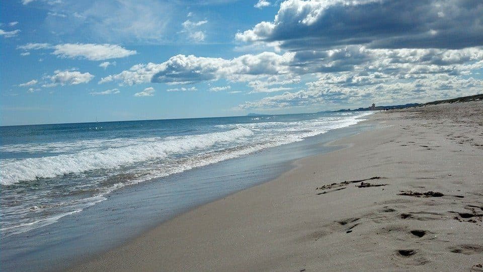 Vista da paisagem costeira na Praia de El Saler