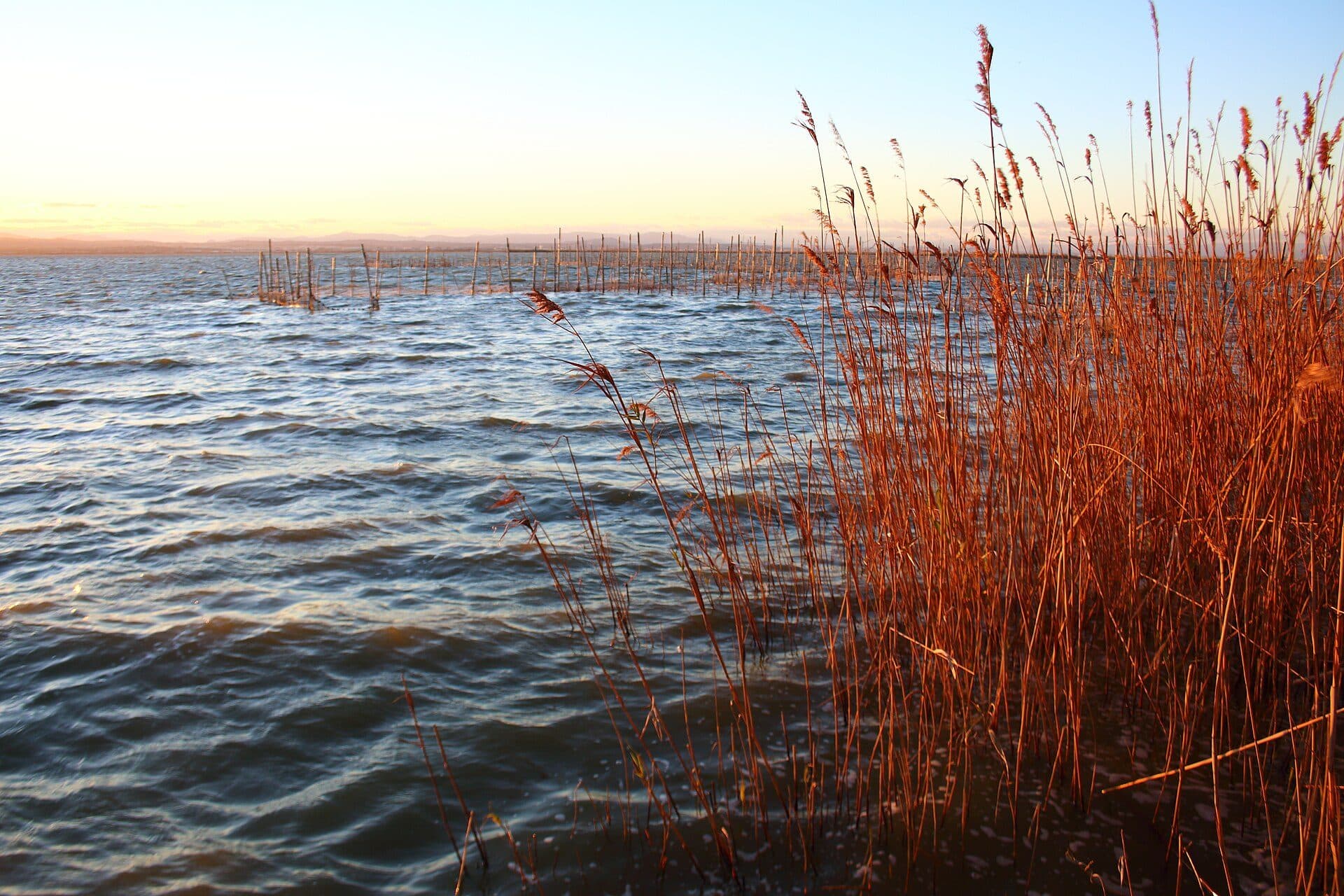 Vista da paisagem natural no Parc natural de l'Albufera