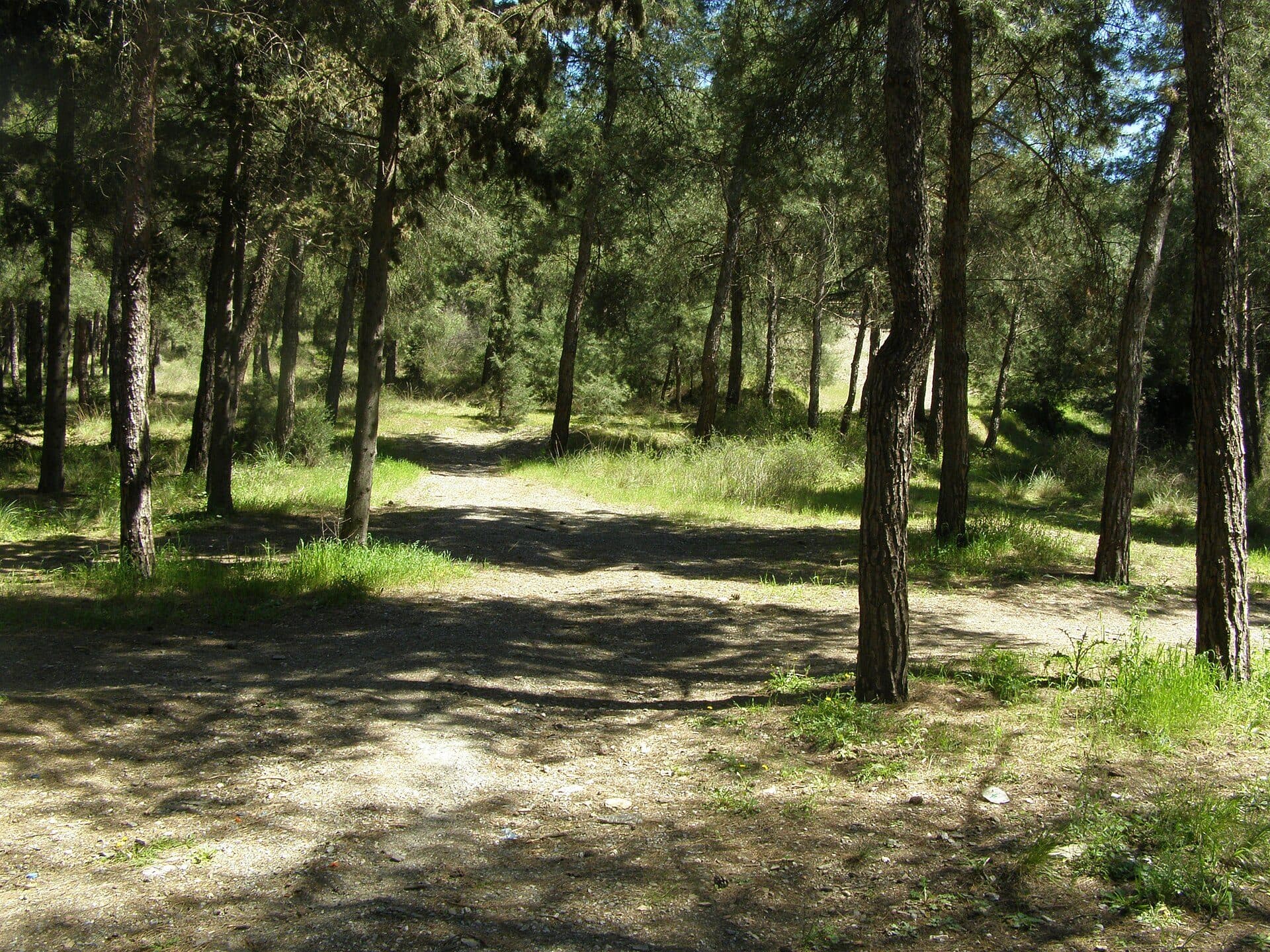 Vista da área verde no Parque de Seich Sou