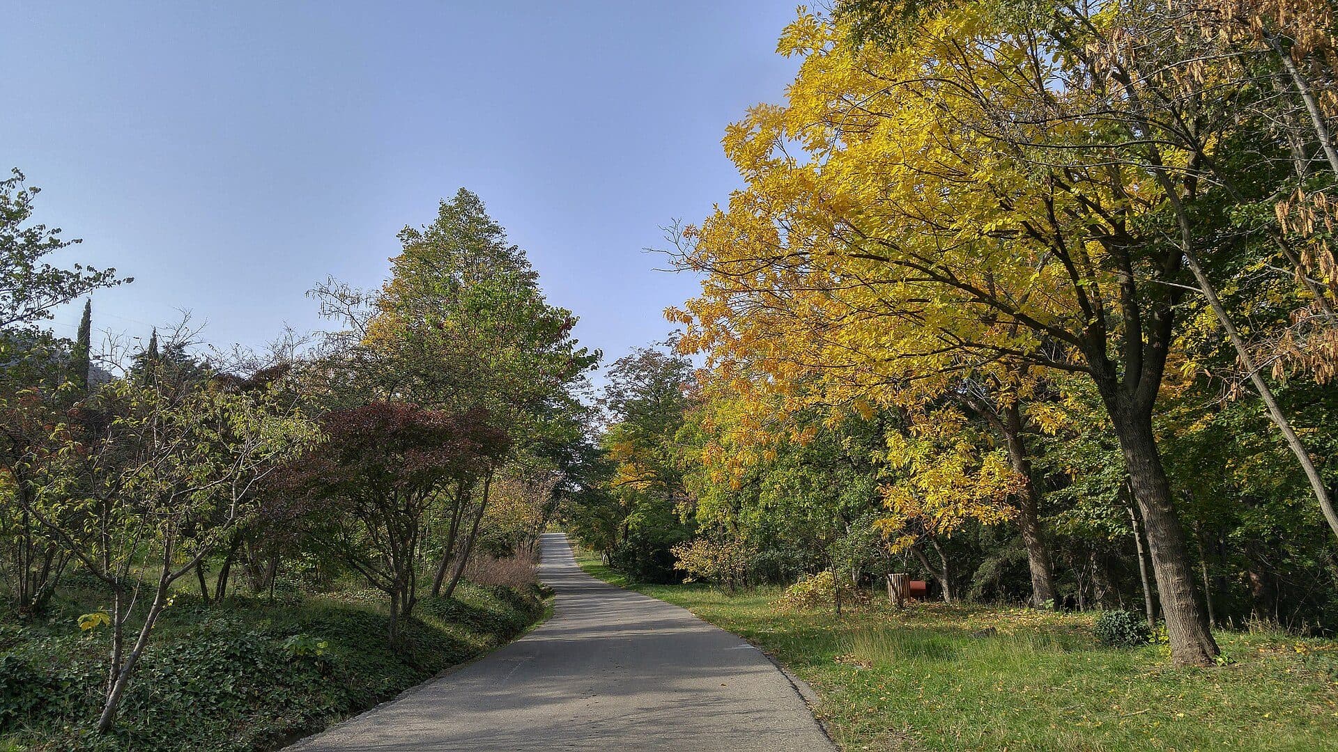 Paisagem de outono no Jardim Botânico de Tbilisi