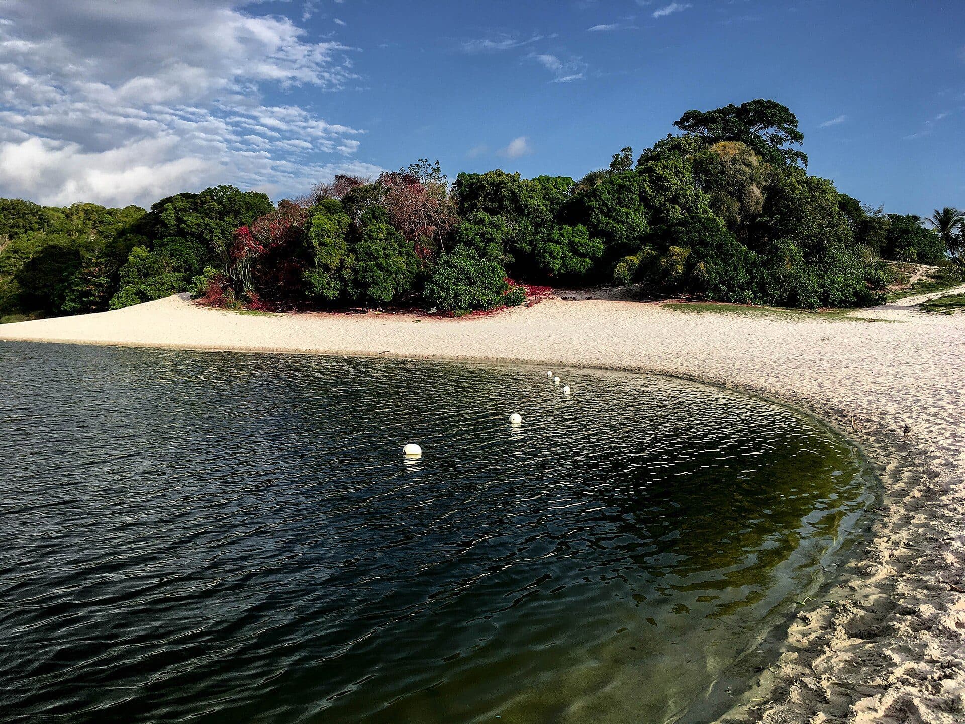 Paisagem da Lagoa do Abaeté na Bahia em 2017