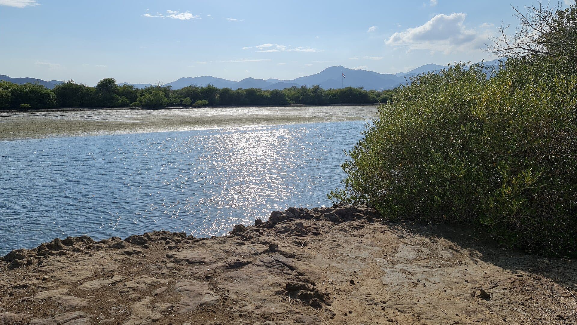 Vista da reserva natural de manguezais em Kalba