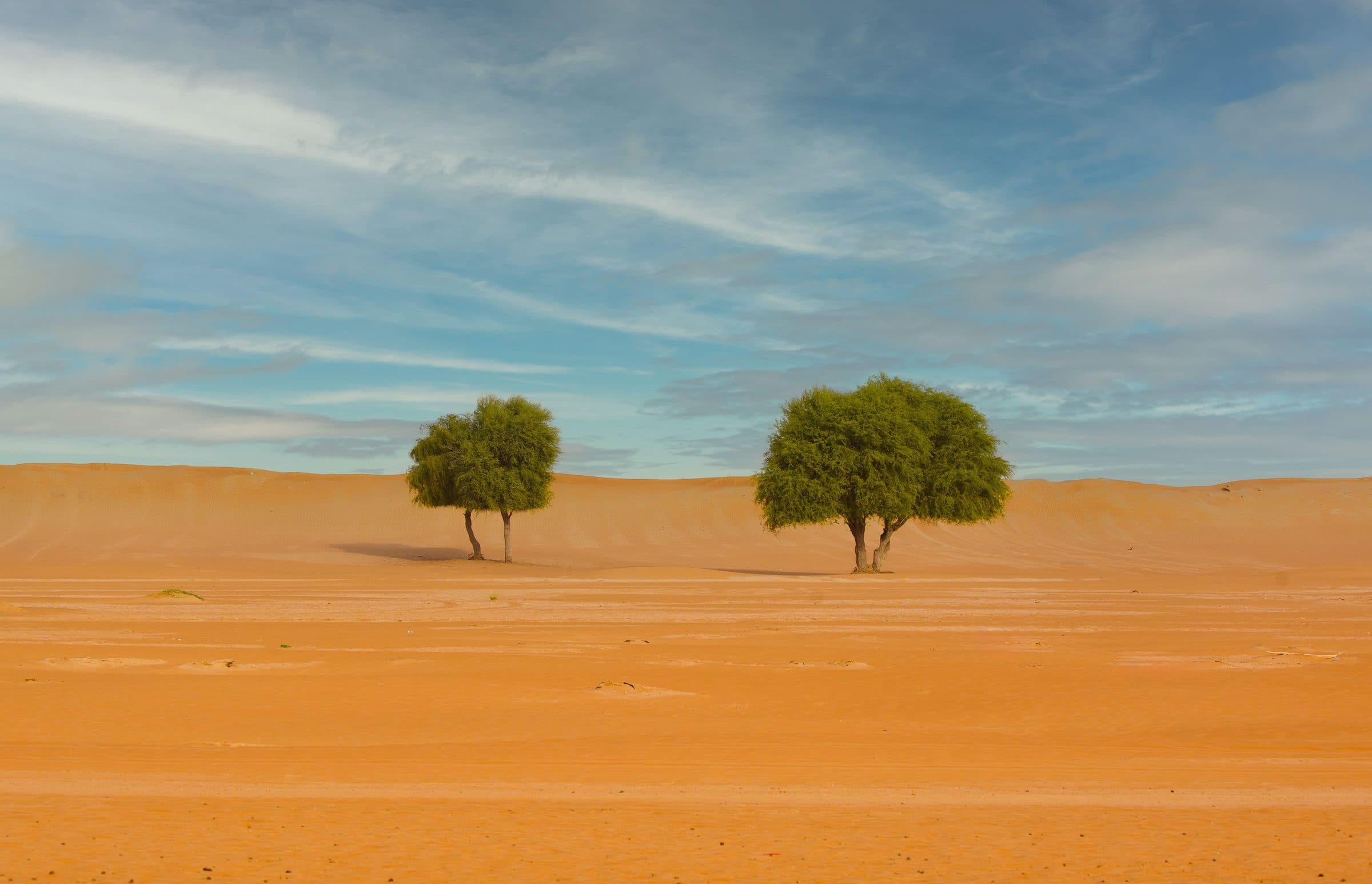 Paisagem de deserto com duas árvores sob o céu azul em Sharjah