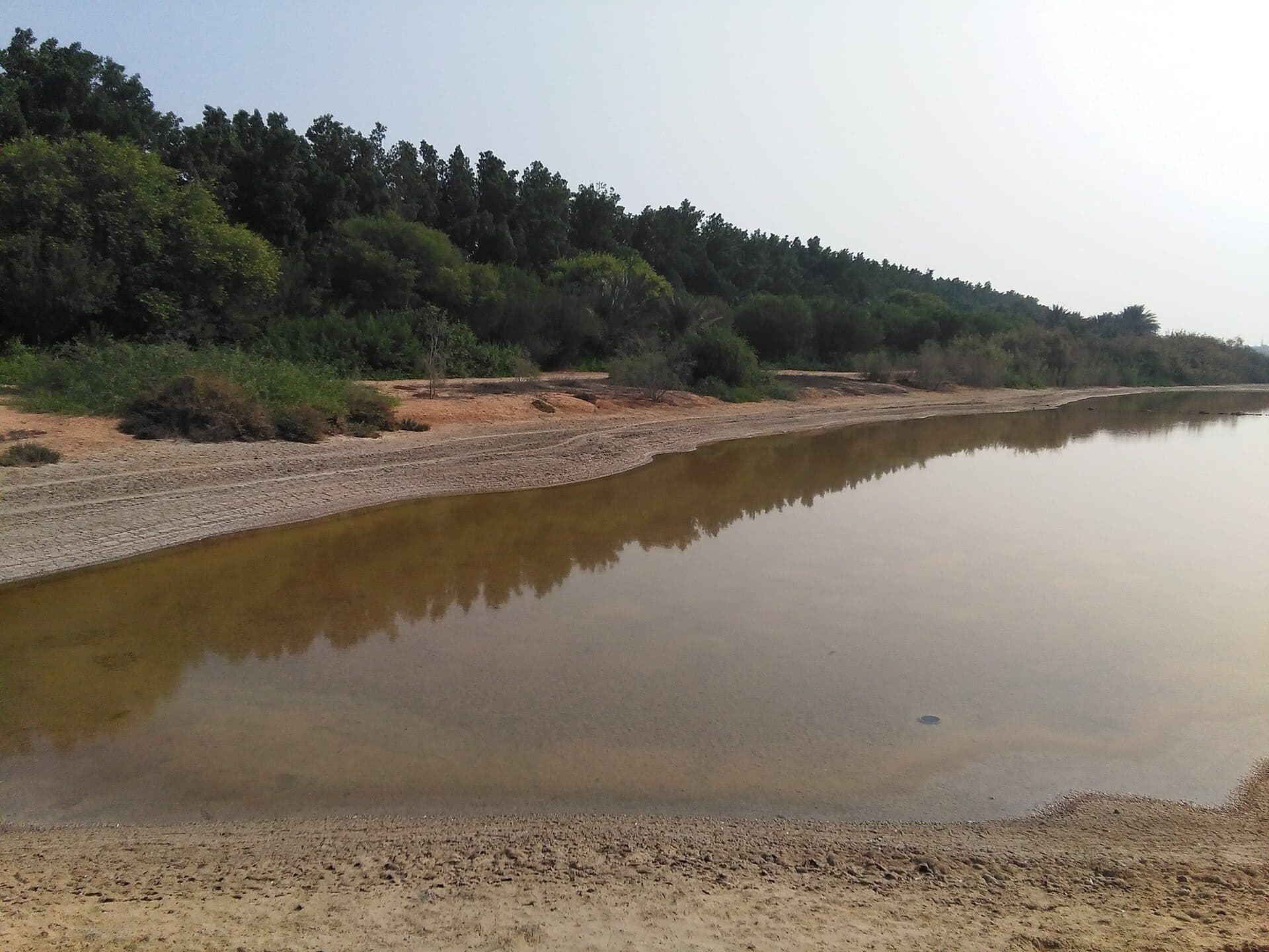 Centro de visitantes do Wasit Wetland Centre