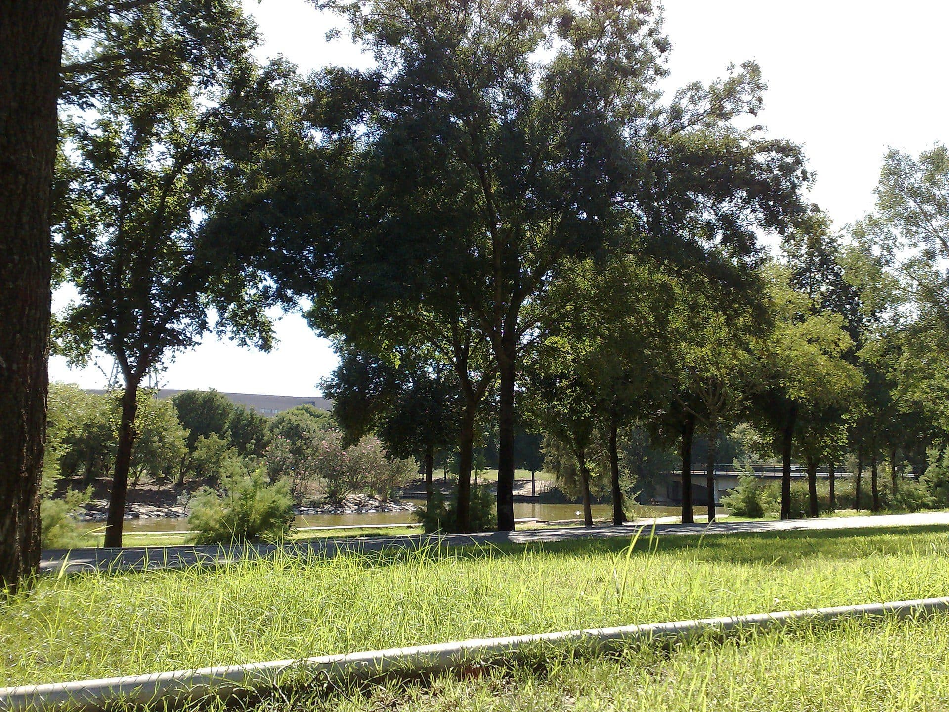 Vista do Parque del Alamillo em um dia de verão
