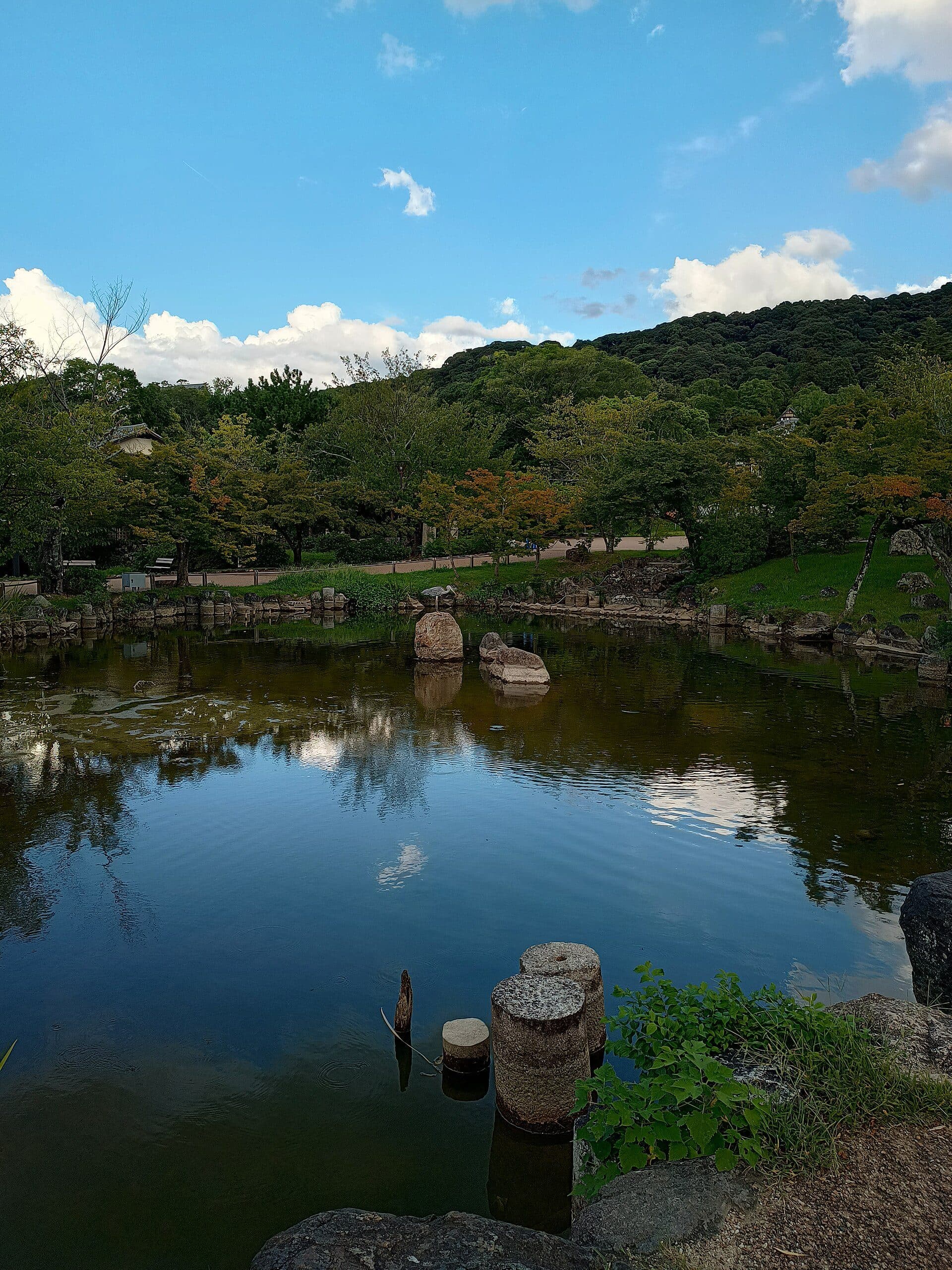 Área arborizada e vegetação natural no Parque Maruyama