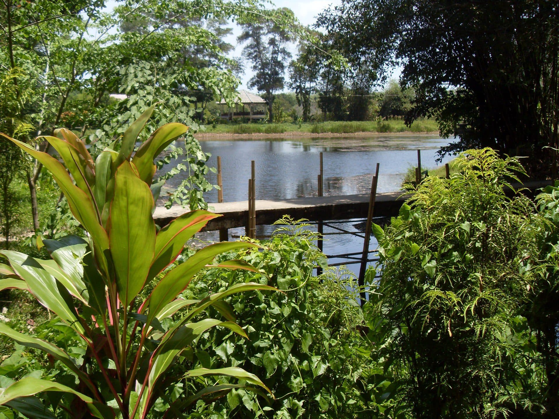 Paisagem natural nas proximidades da Cachoeira de Bang Pae