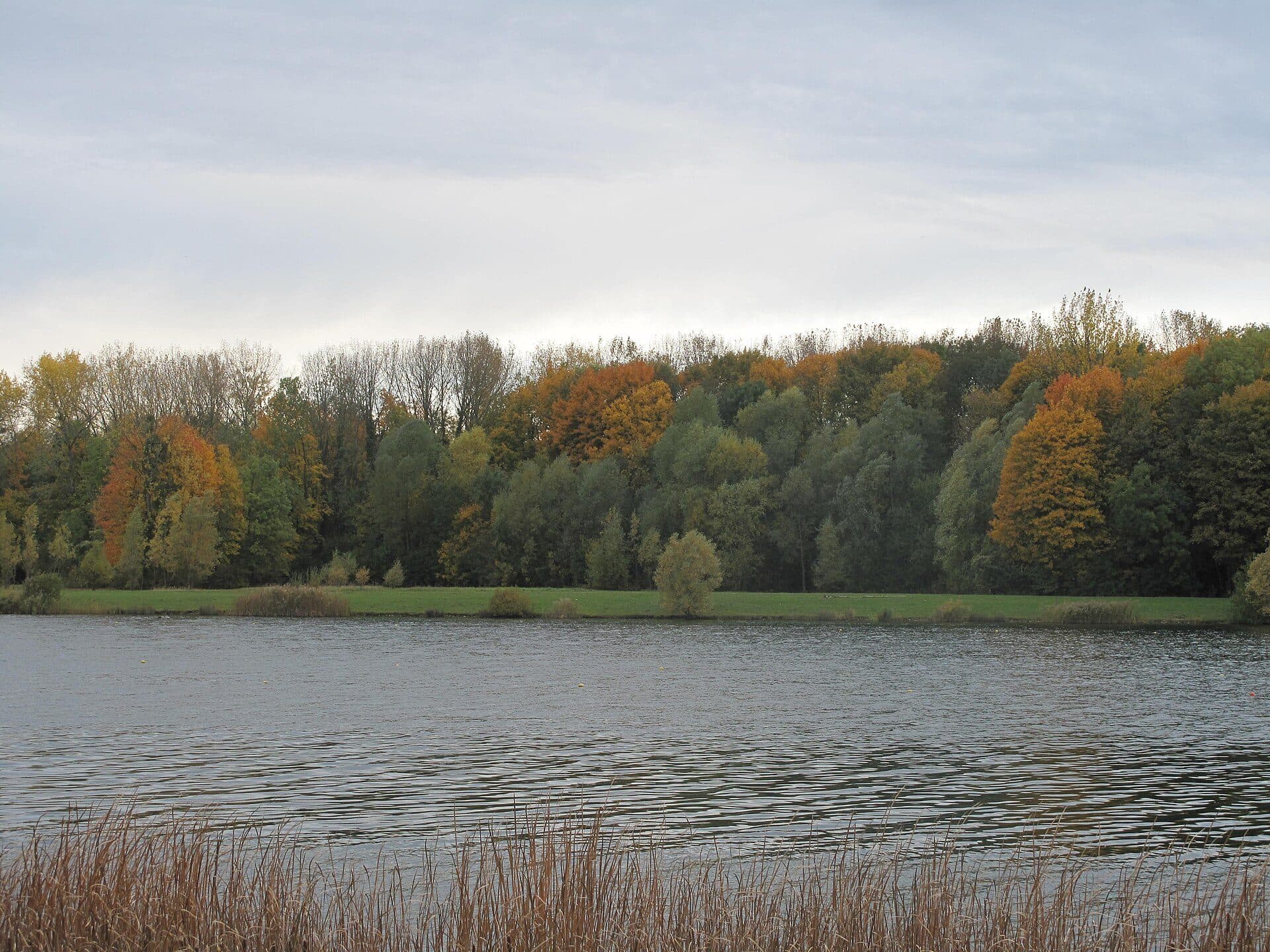 Árvores e bosque no entorno do lago de Vaires