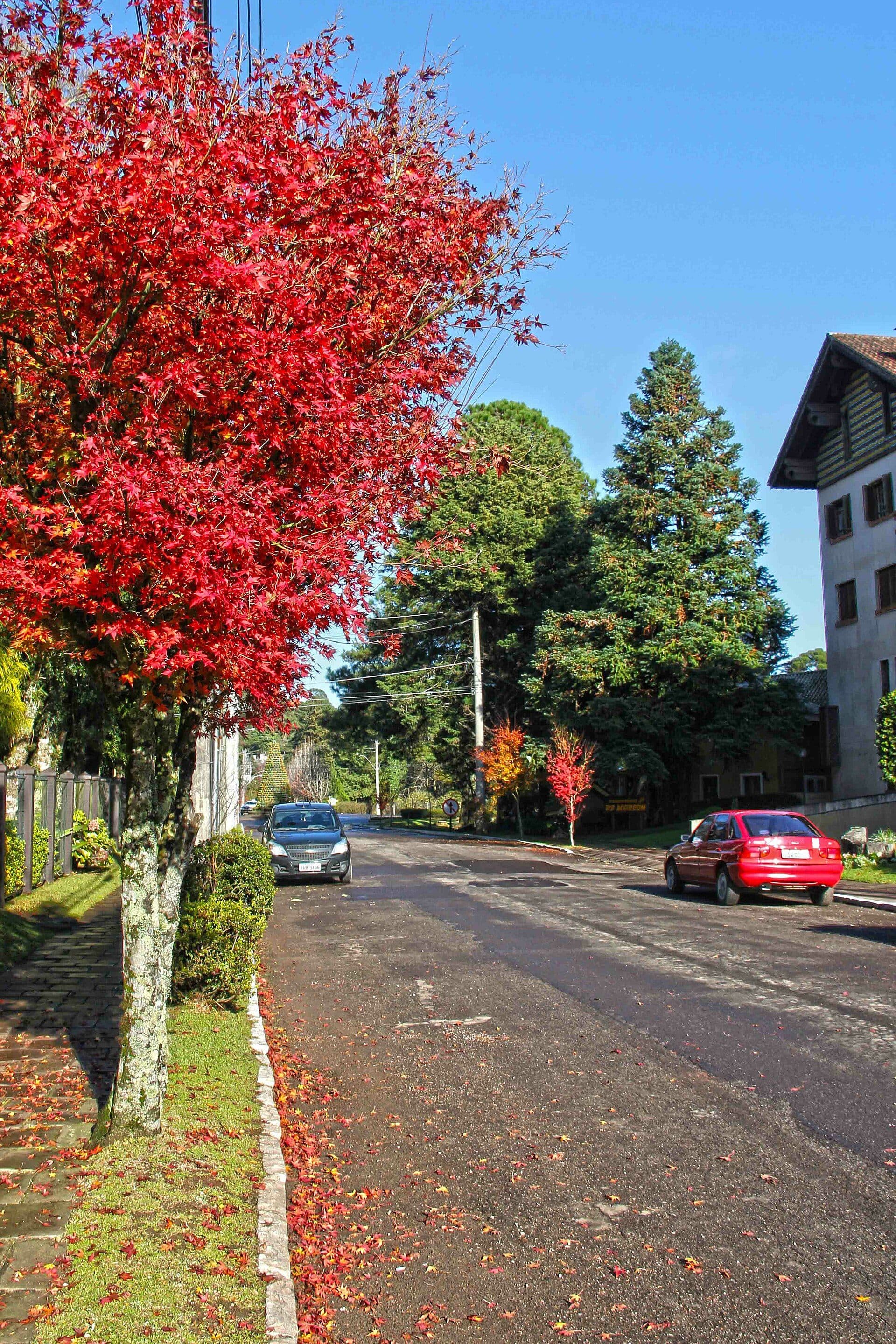 Paisagem da cidade de Gramado, no Rio Grande do Sul