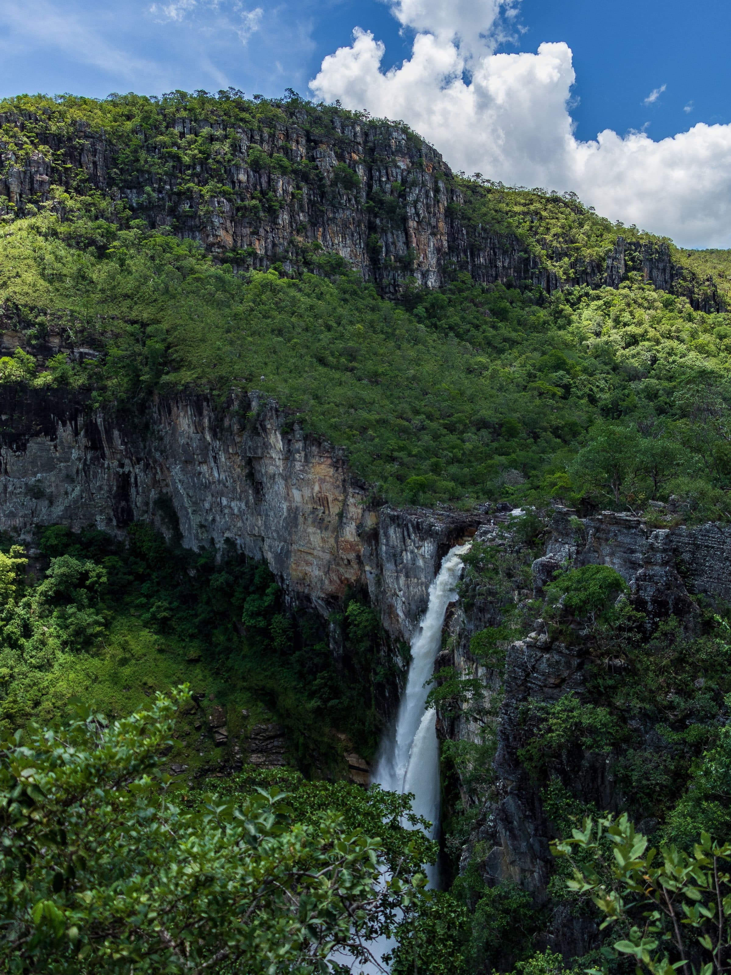 Cachoeira cercada por vegetação verde no Parque Nacional da Chapada dos Veadeiros
