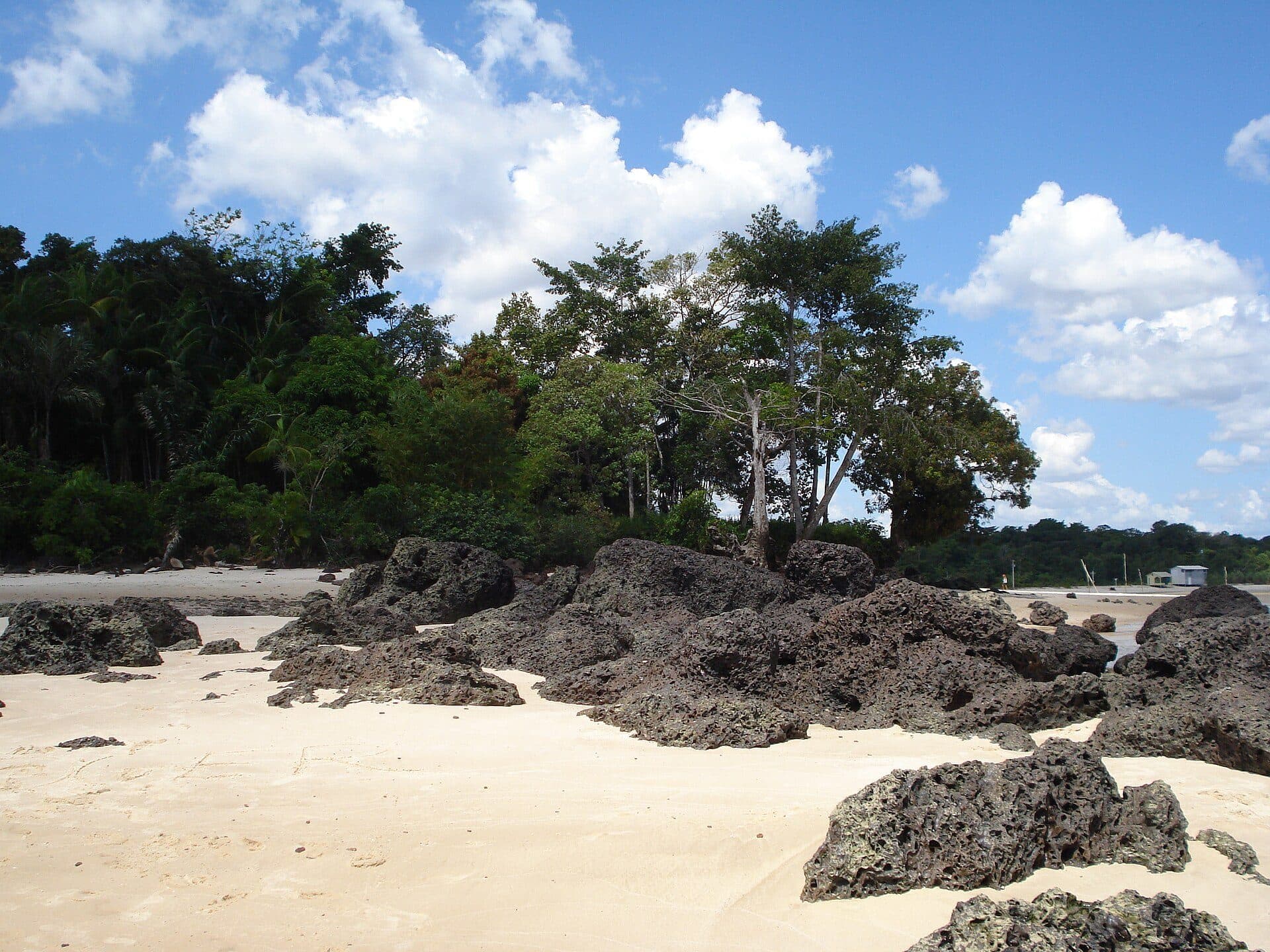 Paisagem natural com vegetação na Ilha de Cotijuba em Belém