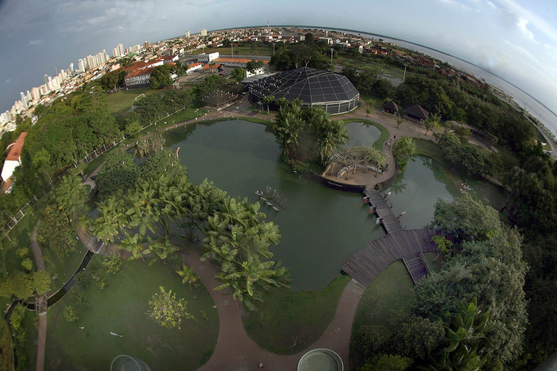Vista da vegetação e área natural no Parque Mangal das Garças