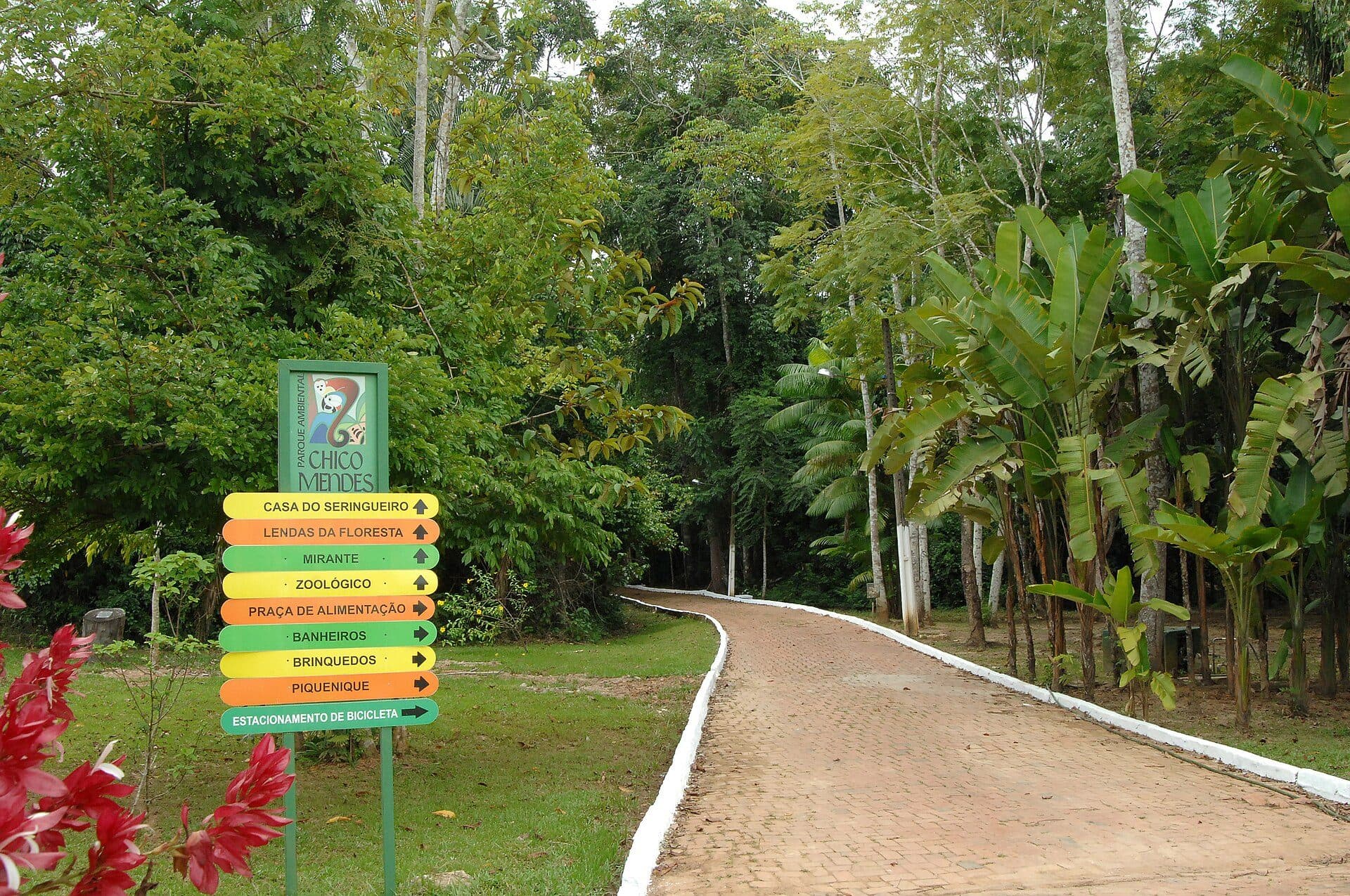 Trilha no Parque Chico Mendes em Rio Branco, Acre