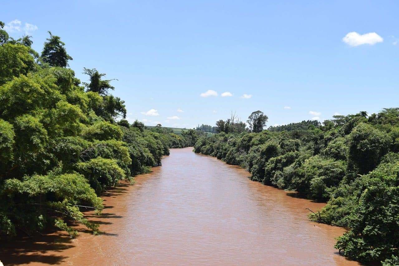 Vista do Rio Pardo cercado por árvores e vegetação em São Paulo