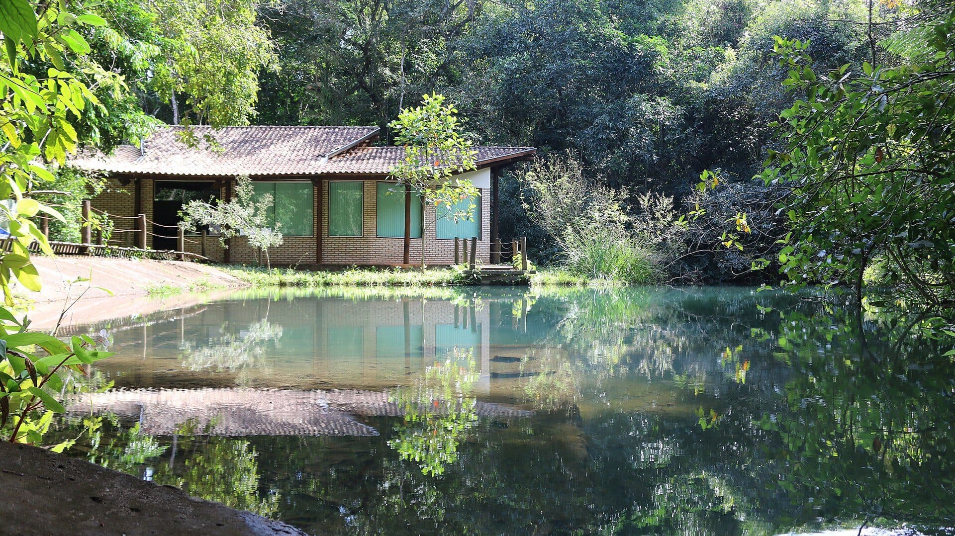 Paisagem natural com vegetação no Parque Estadual do Prosa