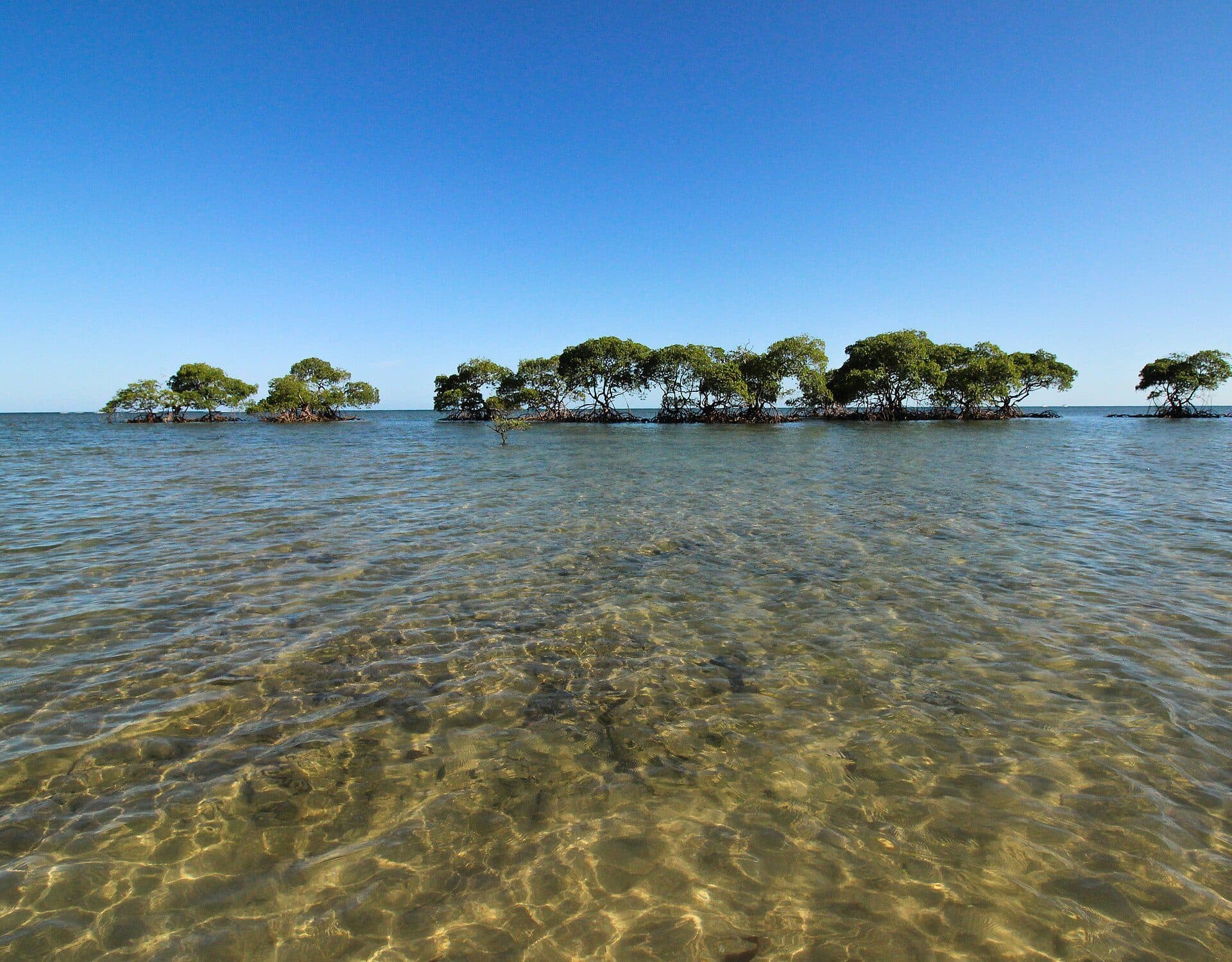 Vista da paisagem natural na Área de Proteção Ambiental Tinharé-Boipeba
