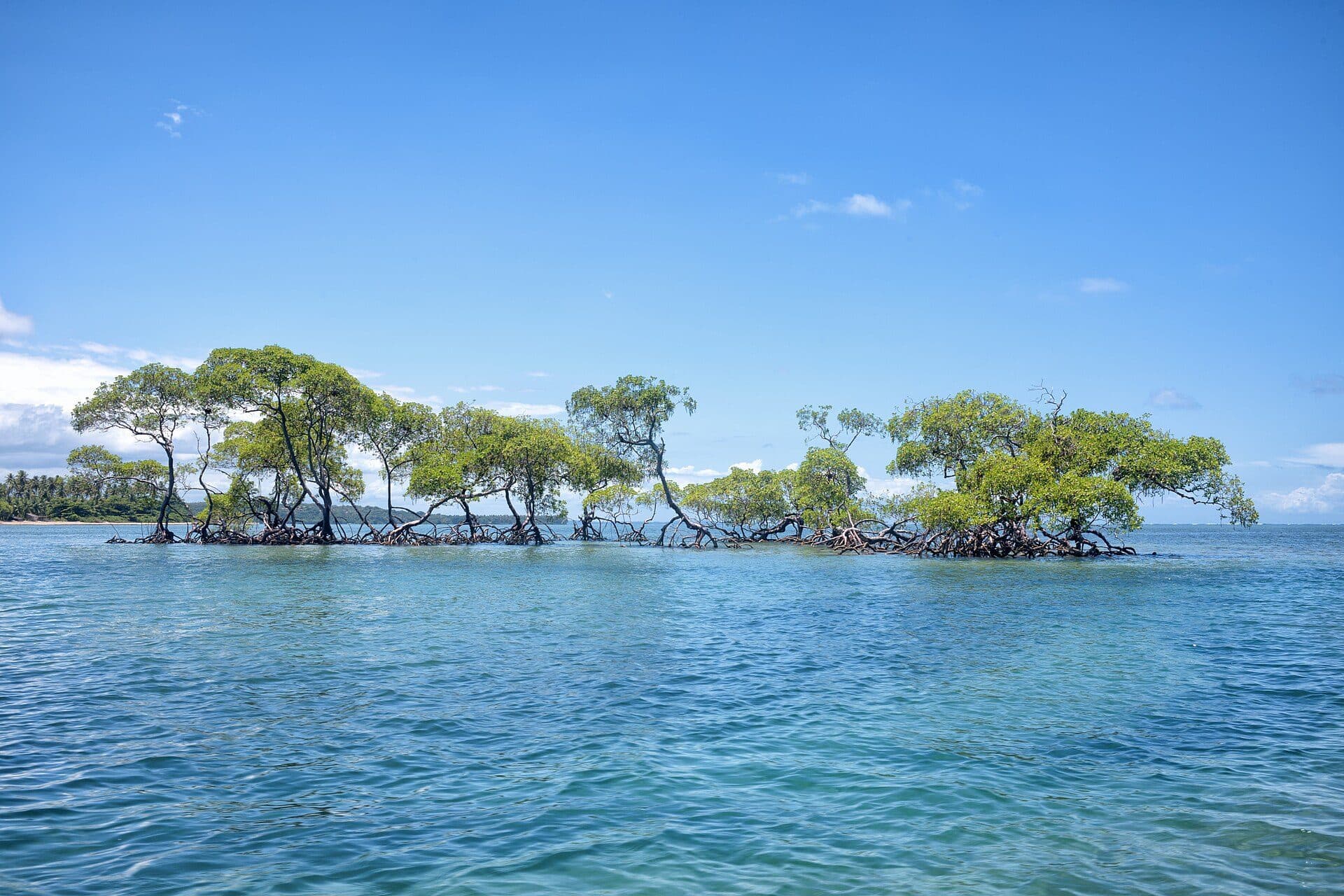 Paisagem litorânea na praia de Ponta dos Castelhanos
