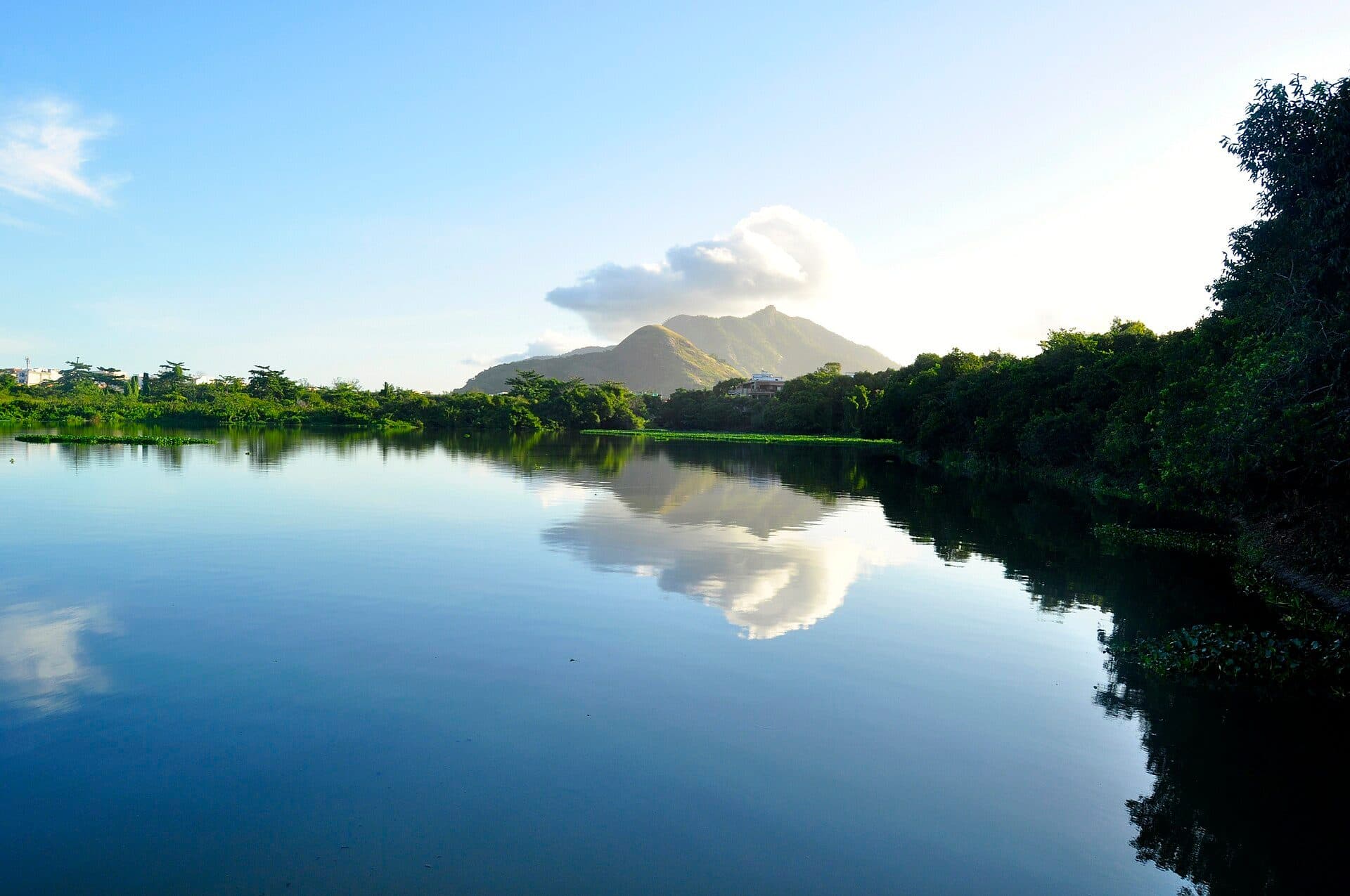 Vista da Lagoa Chico Mendes com vegetação ao redor