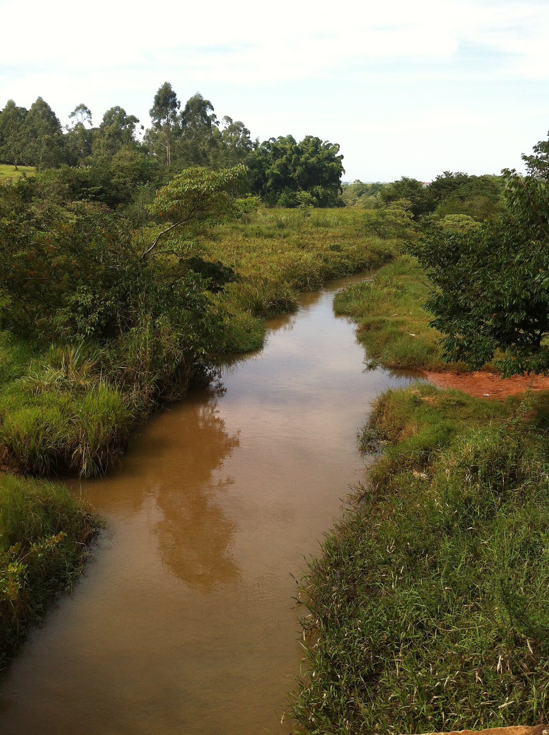 Vista das águas do Rio Batalha no município de Bauru