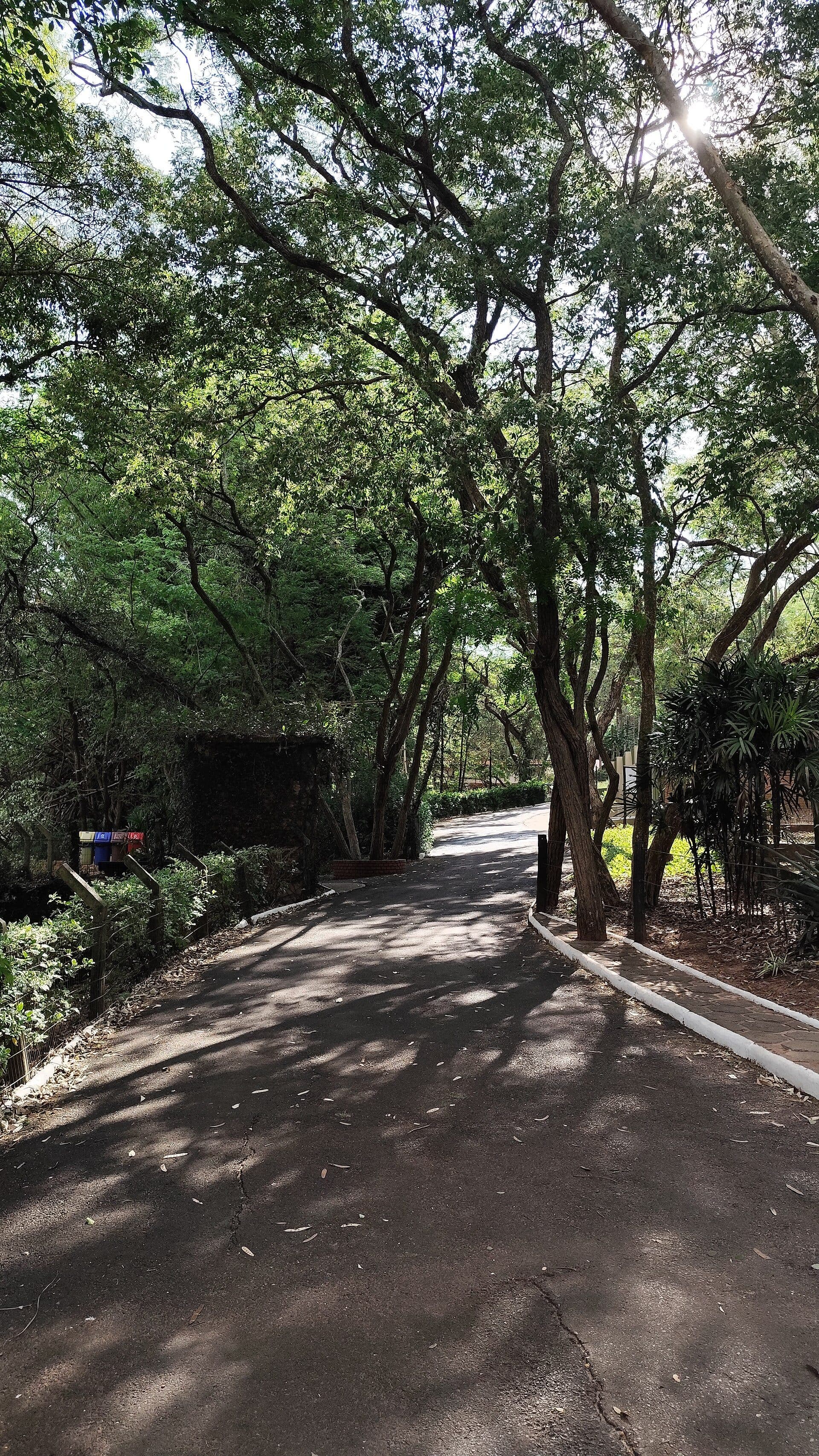 Vista de área de visitação do Parque Zoológico Municipal de Bauru