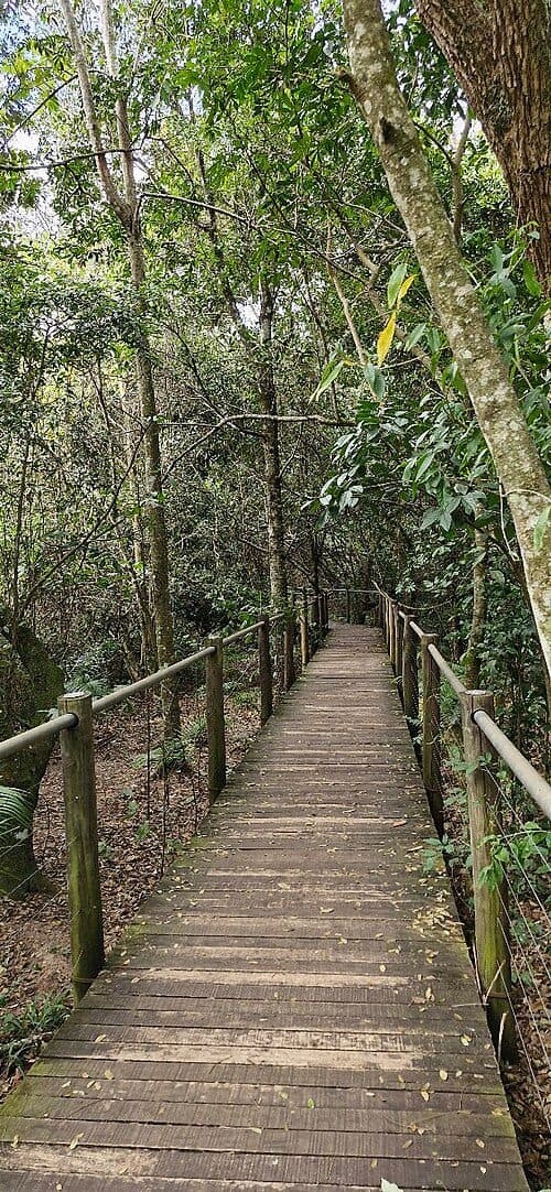 Área verde e vegetação no Jardim Botânico Municipal de Bauru