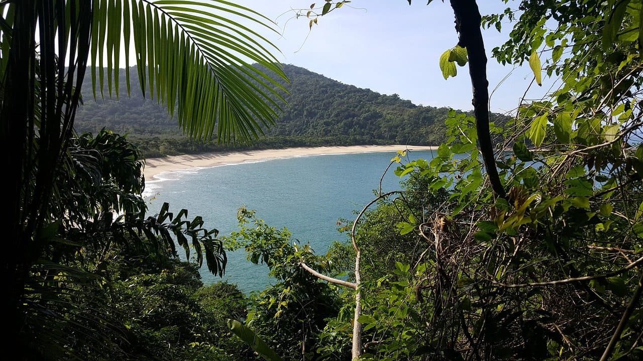 Praia deserta com mar azul, faixa de areia e árvores no litoral norte de Caraguatatuba
