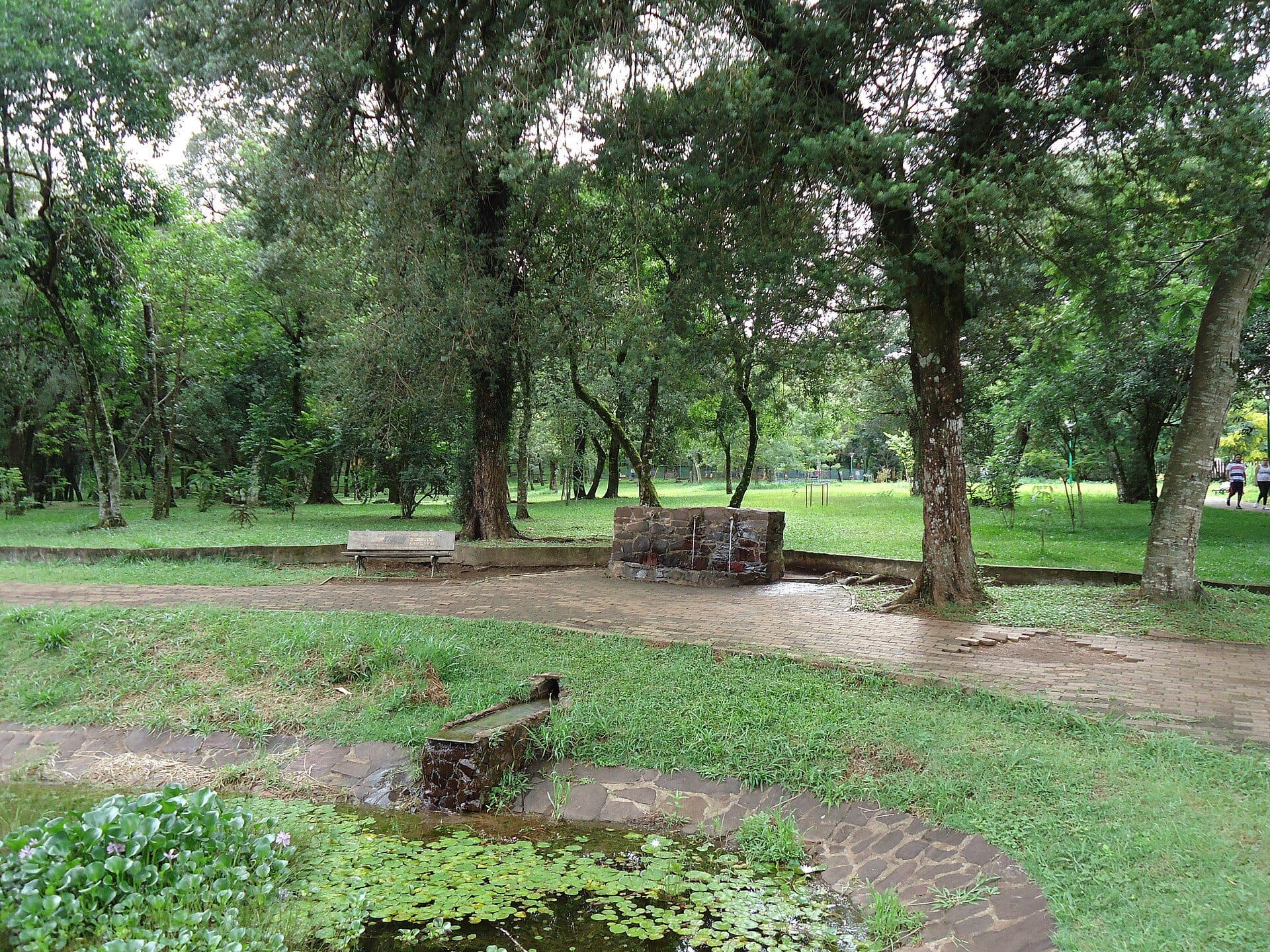 Vista da vegetação no Parque Tarquínio Joslin dos Santos