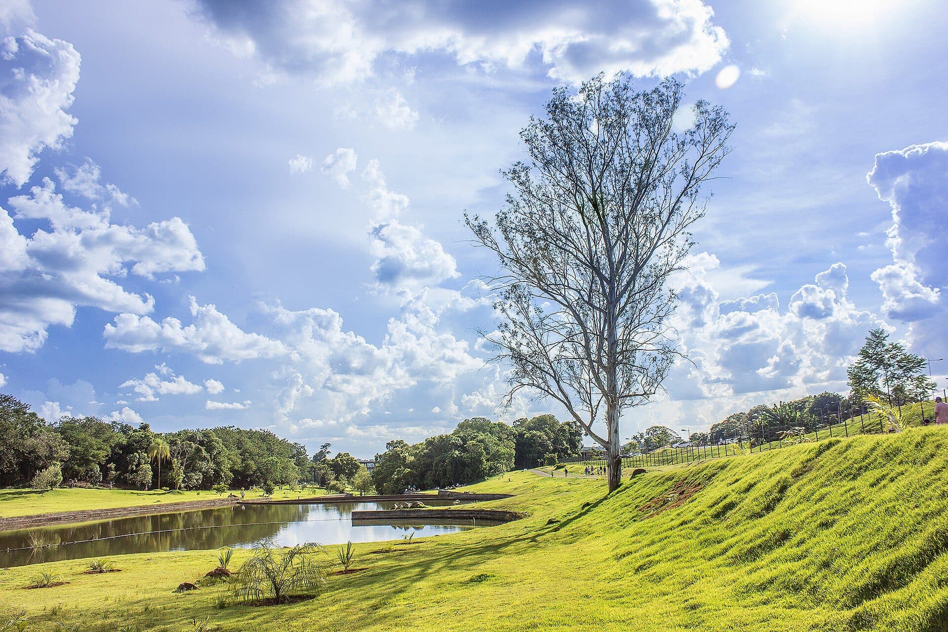 Vista do lago no Jardim Botânico de Londrina
