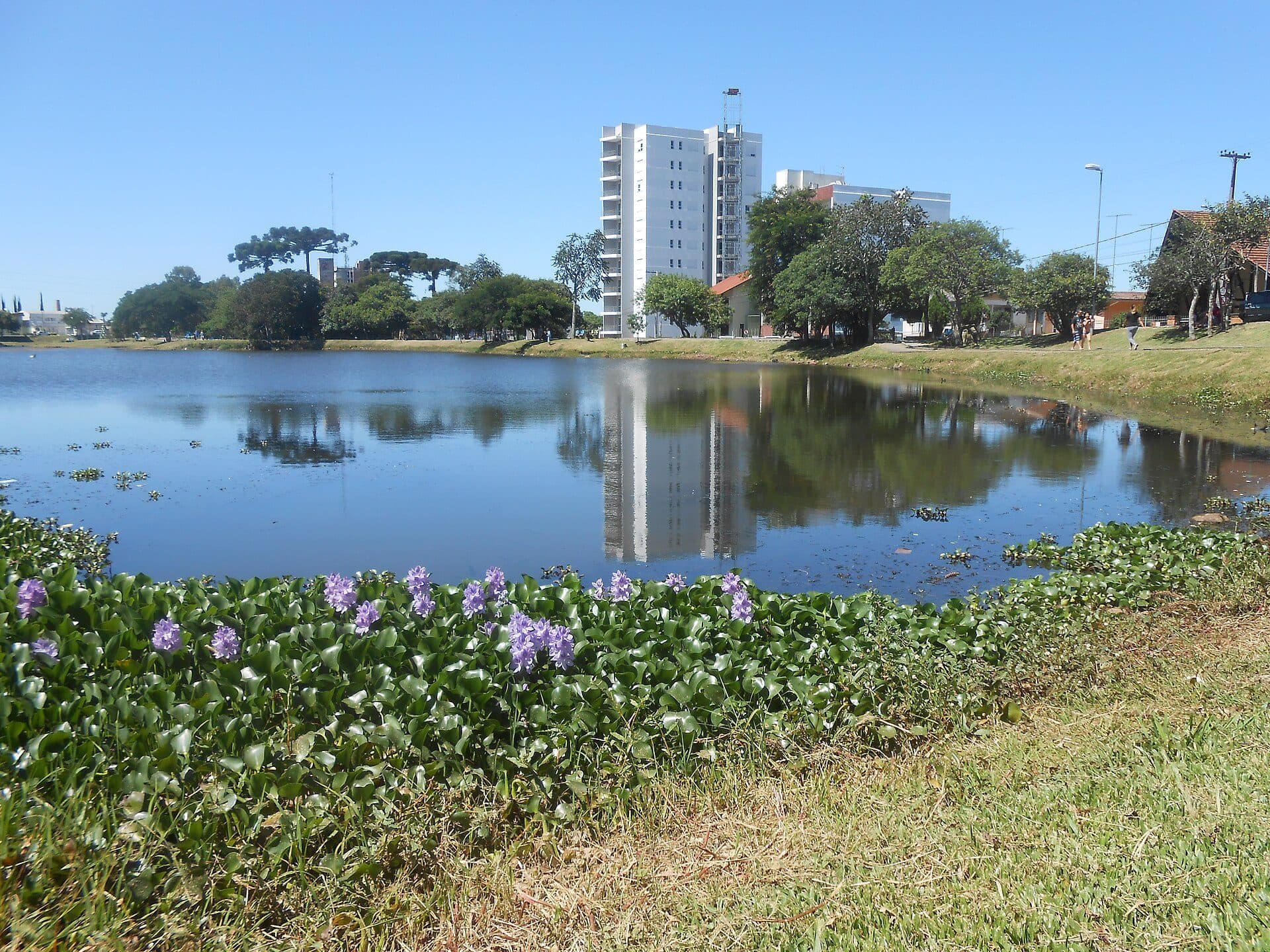 Vista do Parque da Lagoa no bairro Desvio Rizzo em Caxias do Sul
