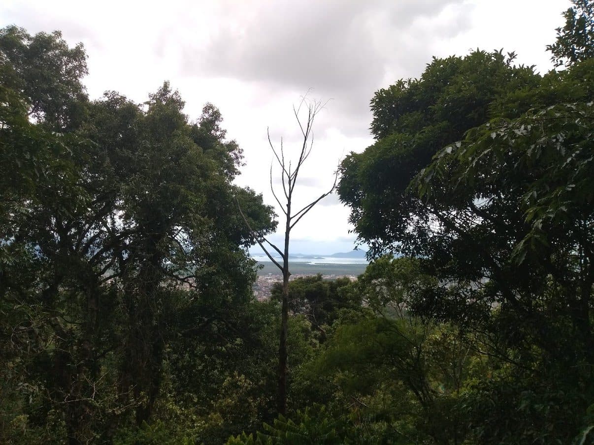 Mirante do Parque Morro do Finder com vista para a zona leste de Joinville e a Baía da Babitonga