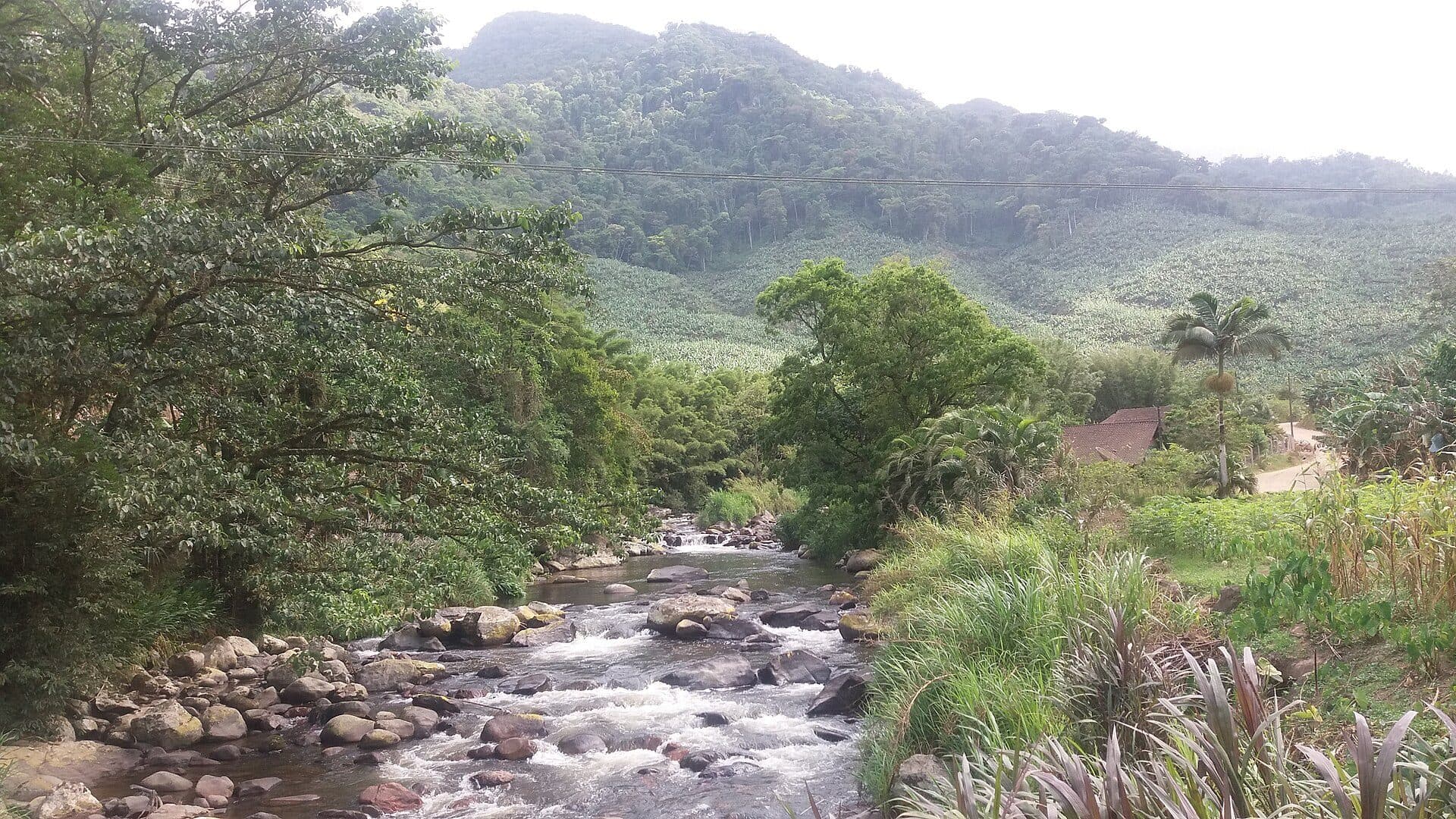 Paisagem natural na Área de Proteção Ambiental Serra Dona Francisca