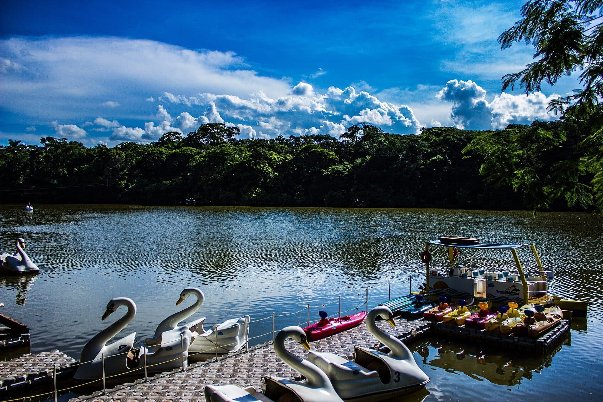 Vista do Parque do Ingá Prefeito Adriano José Valente em Maringá, Paraná