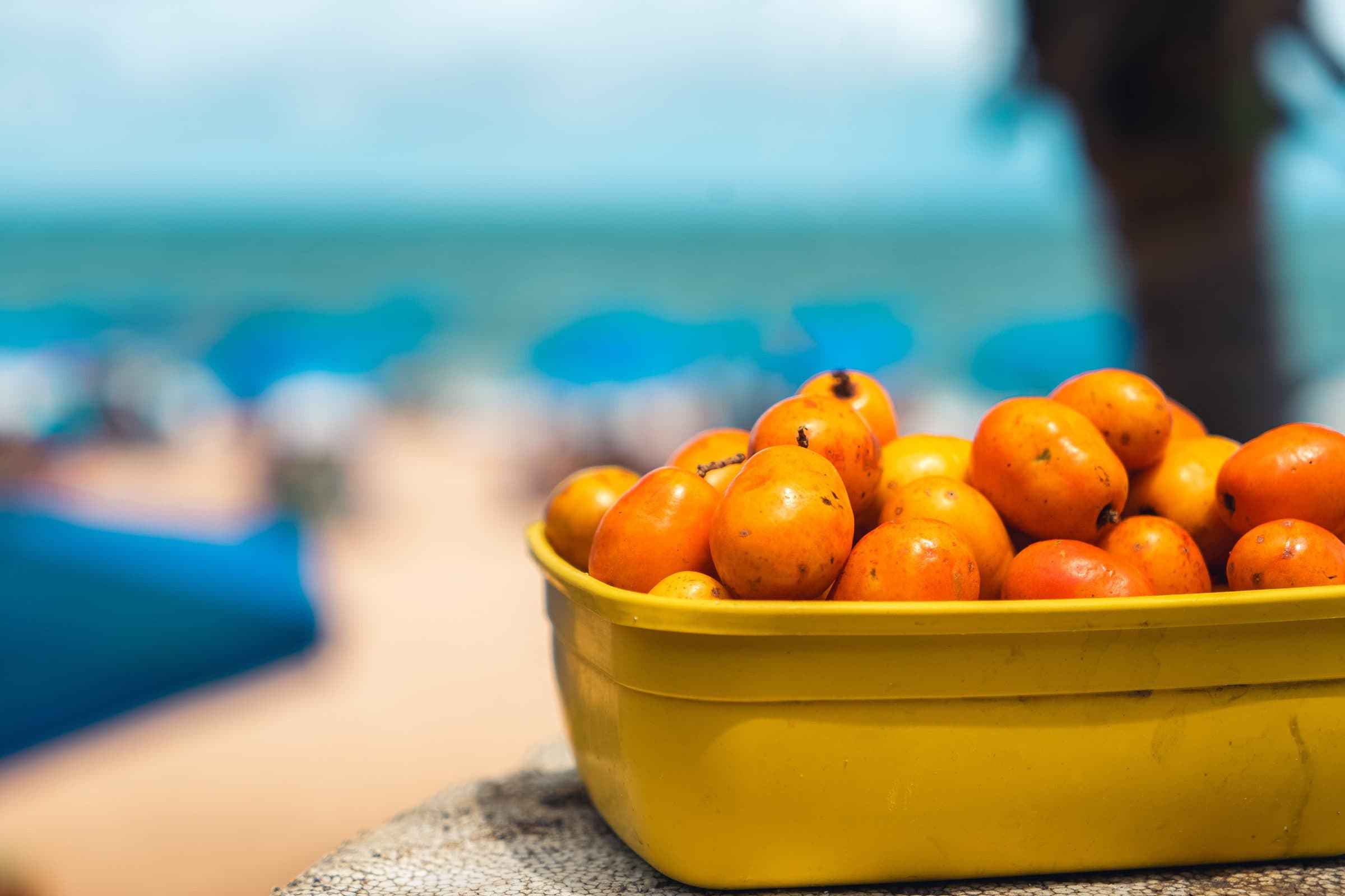 Tomates vermelhos em uma cesta amarela com uma praia desfocada ao fundo