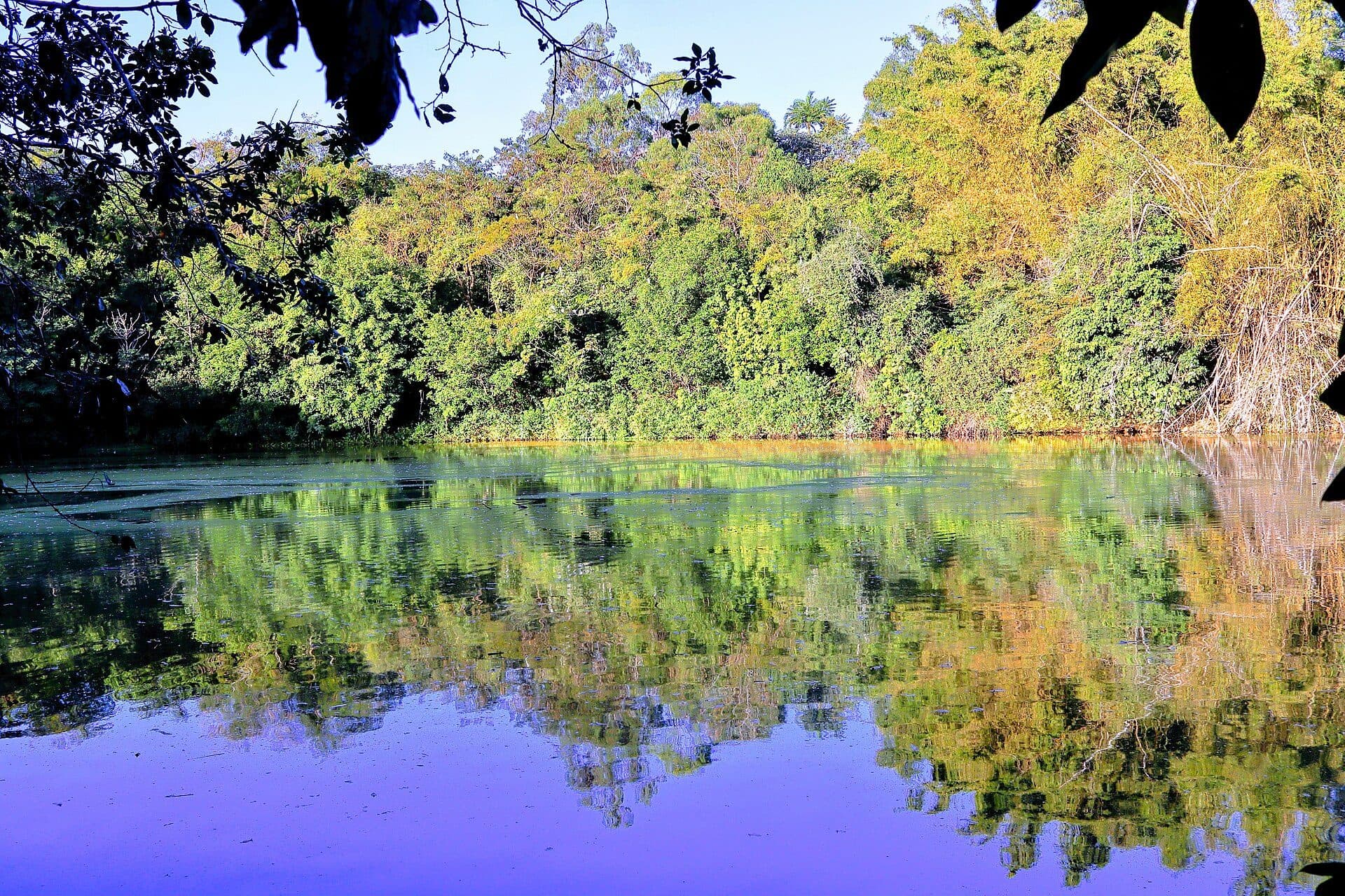 Lago em área de preservação de nascente em Marília