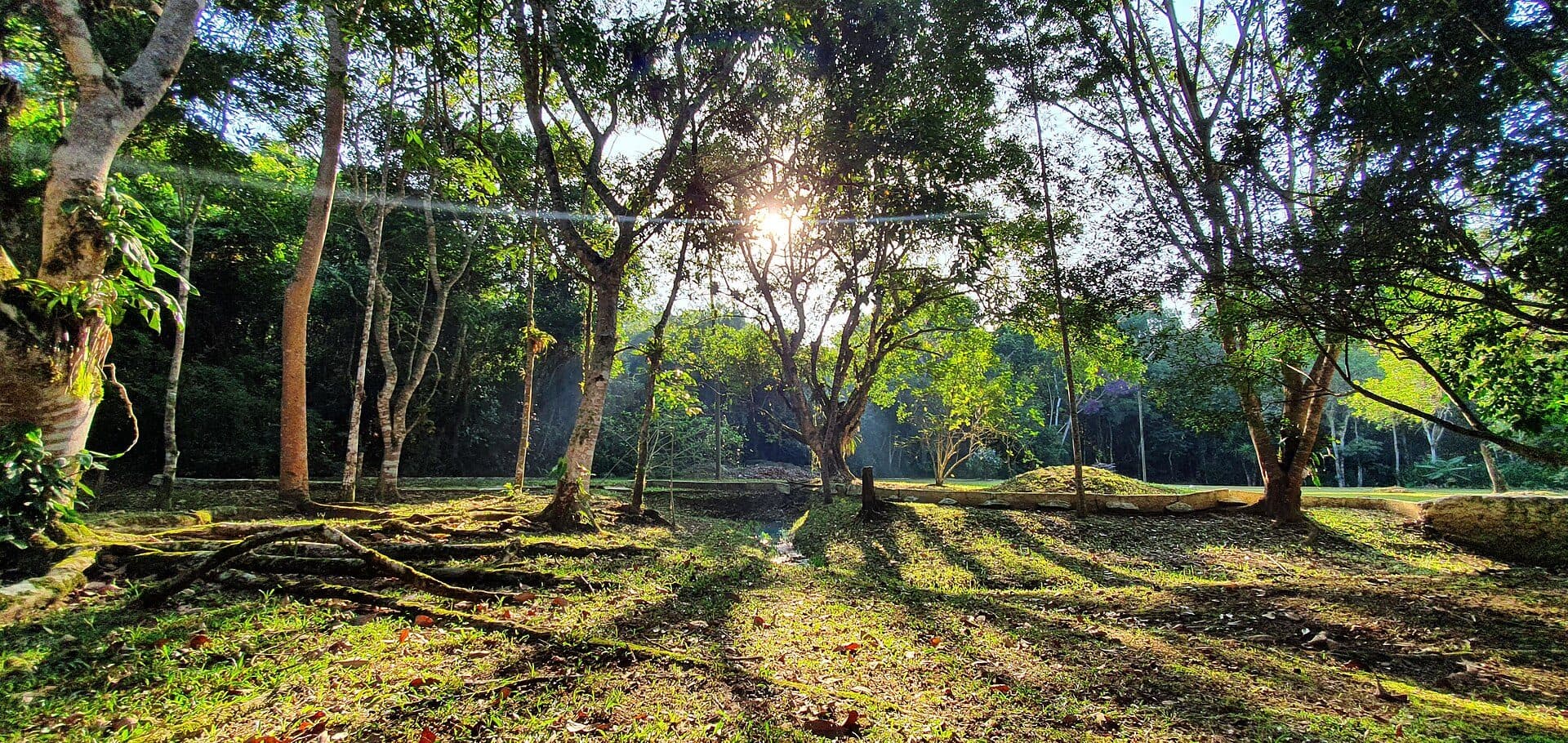 Vista do Parque Natural Municipal Augusto Ruschi