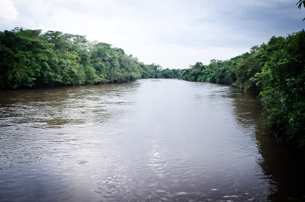 Registro da expedição Guarani Kaiowá na região de Dourados em Mato Grosso do Sul