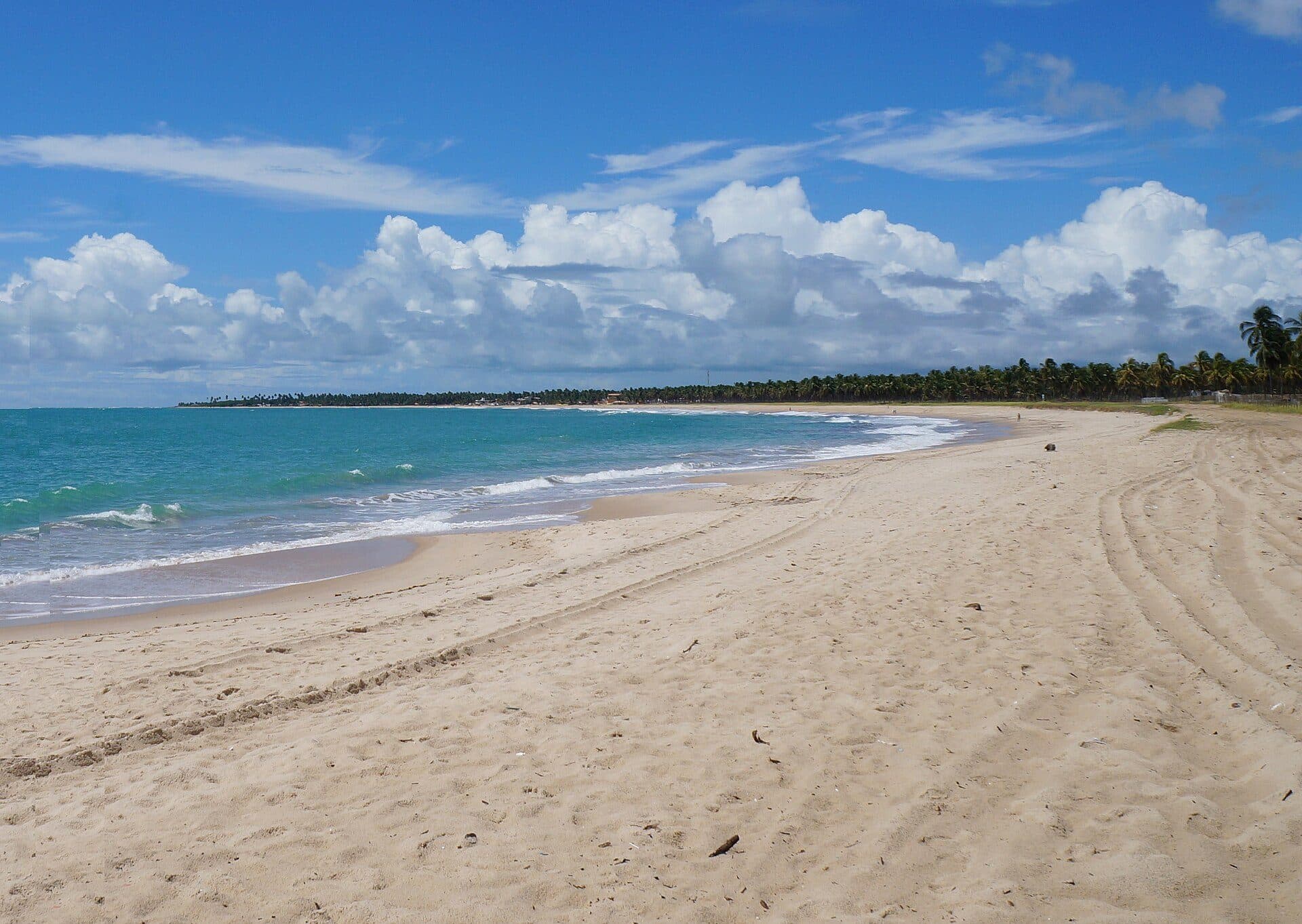 Vista da orla e do mar na Praia de Maracaípe em Pernambuco