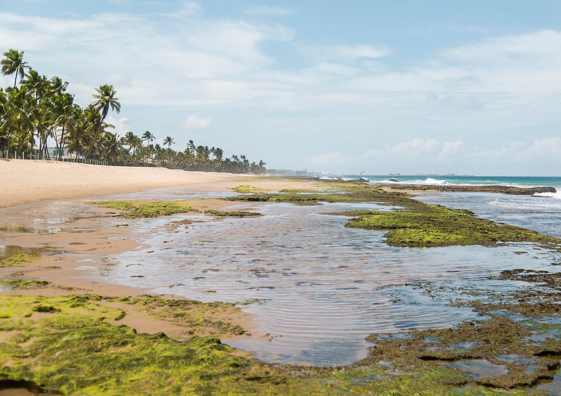 Vista da Praia de Muro Alto em Ipojuca, Pernambuco