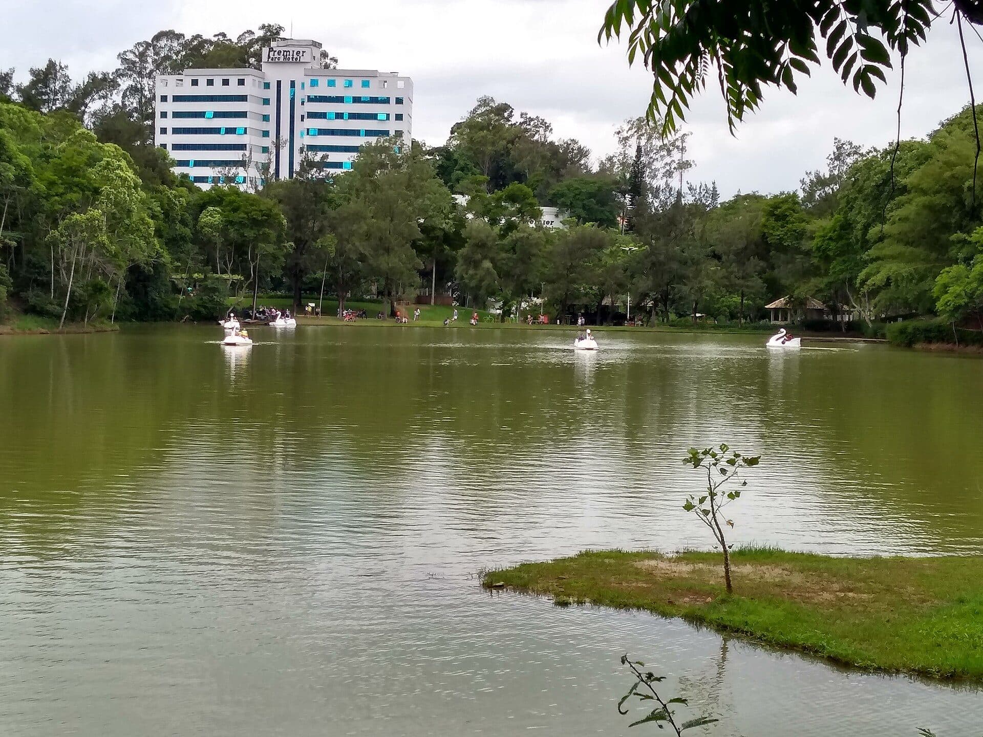 Paisagem natural no Parque Natural Municipal da Lajinha