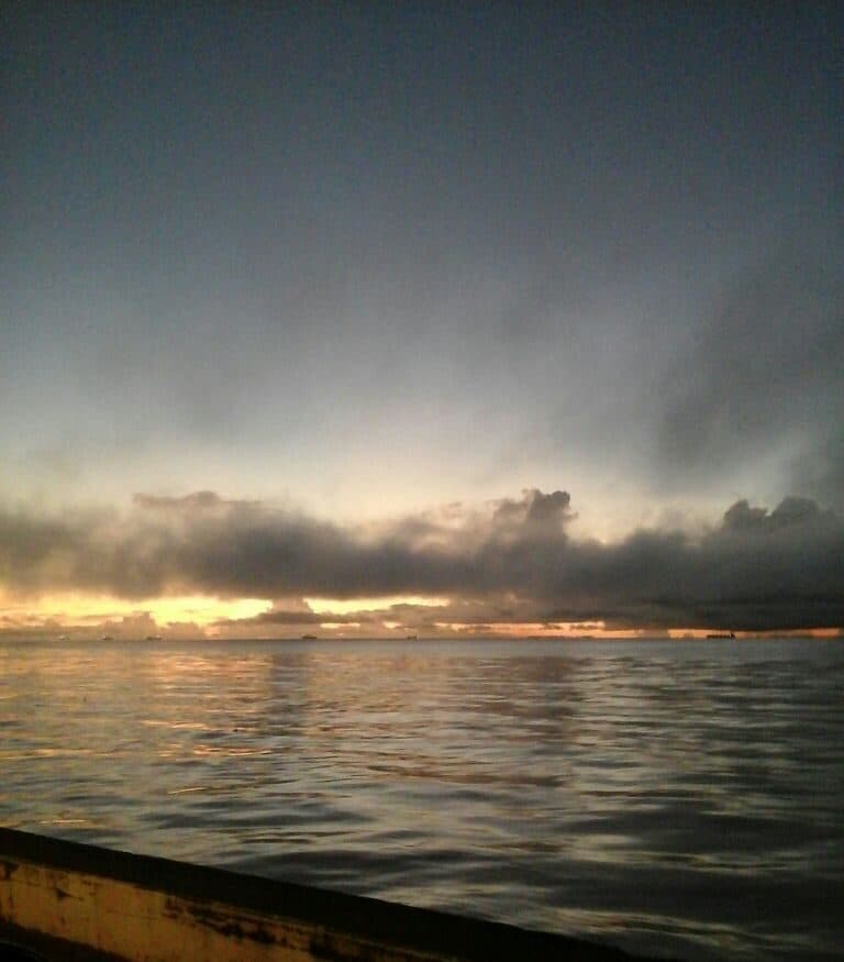 Vista panorâmica das águas do Rio Amazonas