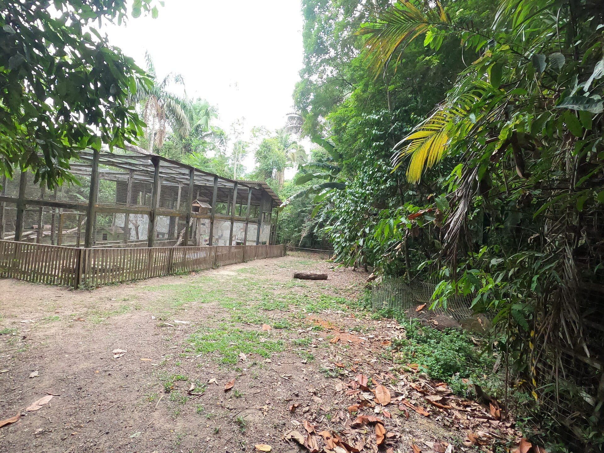Vista de área verde na Fundação Zoobotânica de Marabá