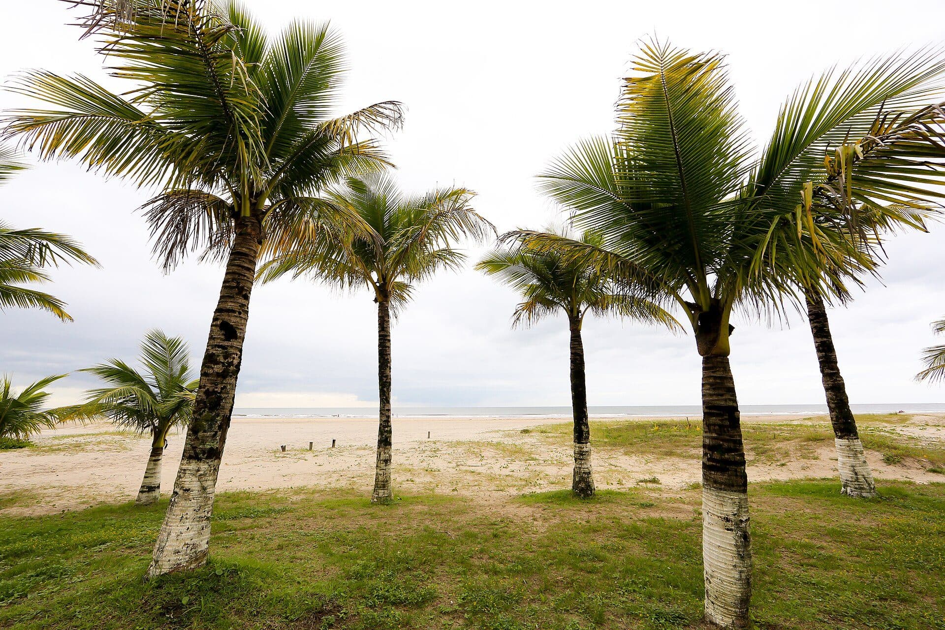Vista da Praia Brava em Matinhos, no litoral do Paraná