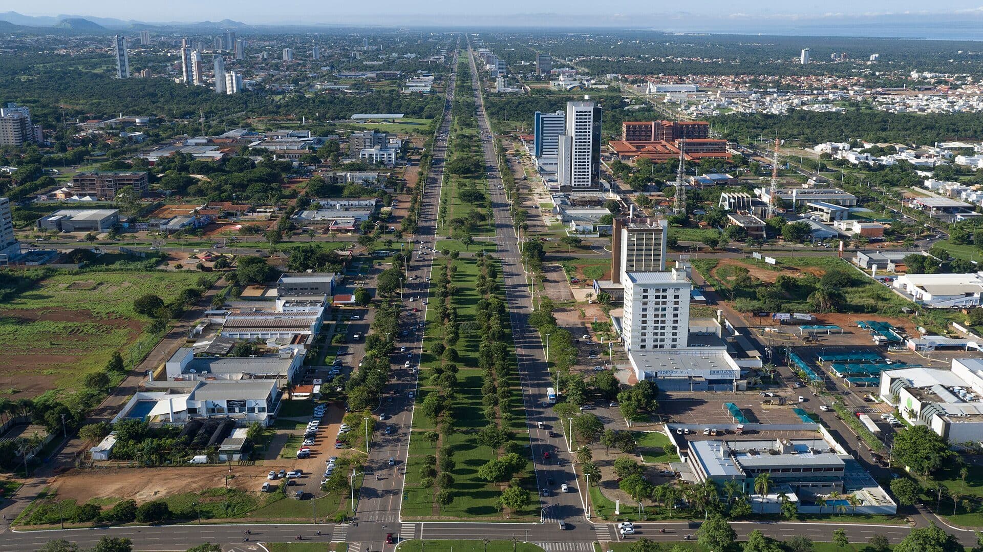 Palmas