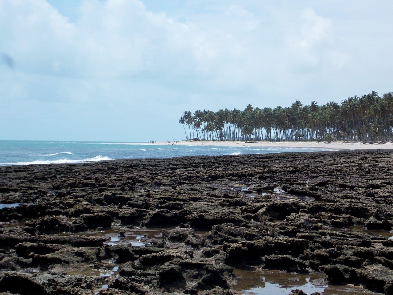 Vista da Praia dos Carneiros em Tamandaré, Pernambuco